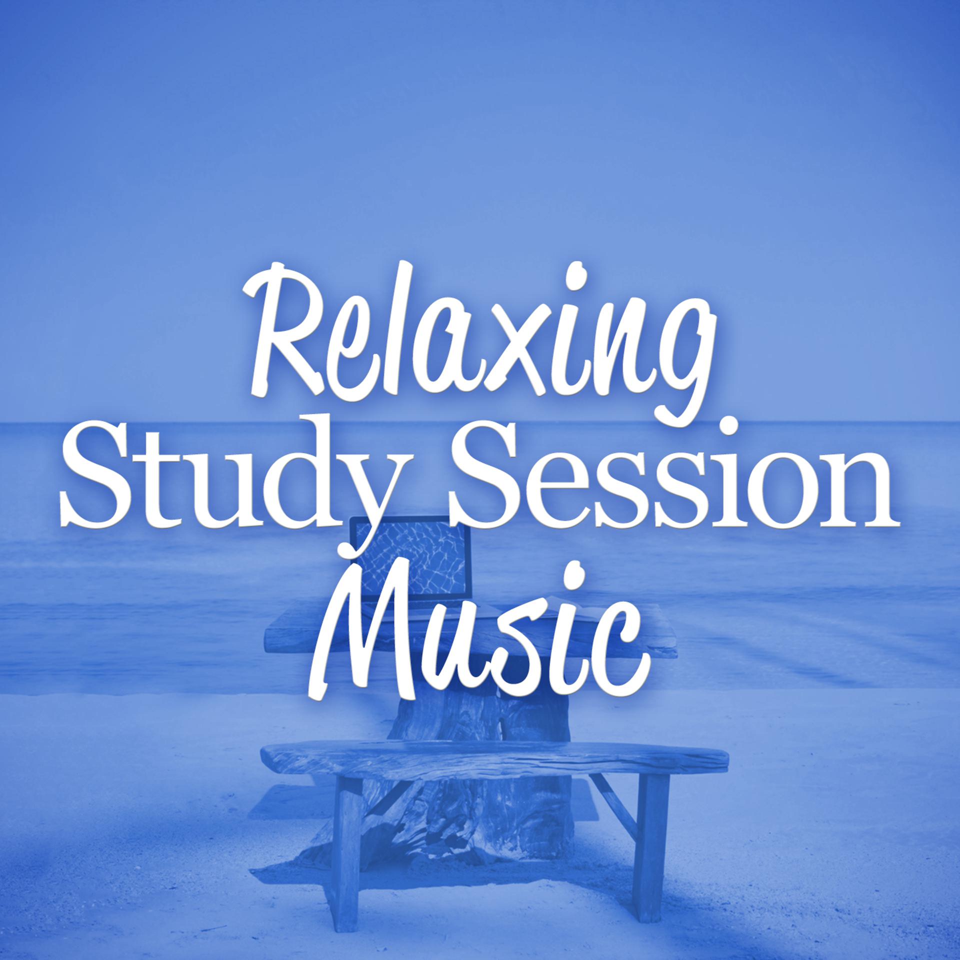 Постер альбома Relaxing Study Session Music