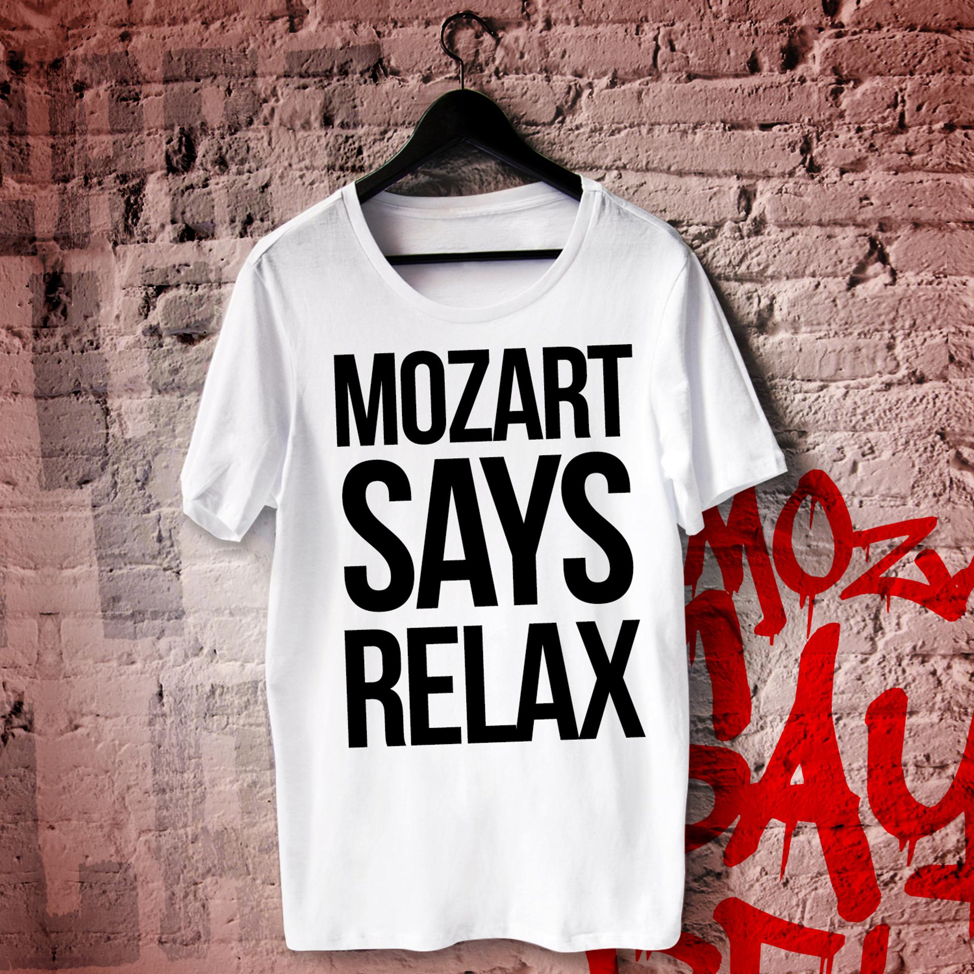 Постер альбома Mozart Says Relax