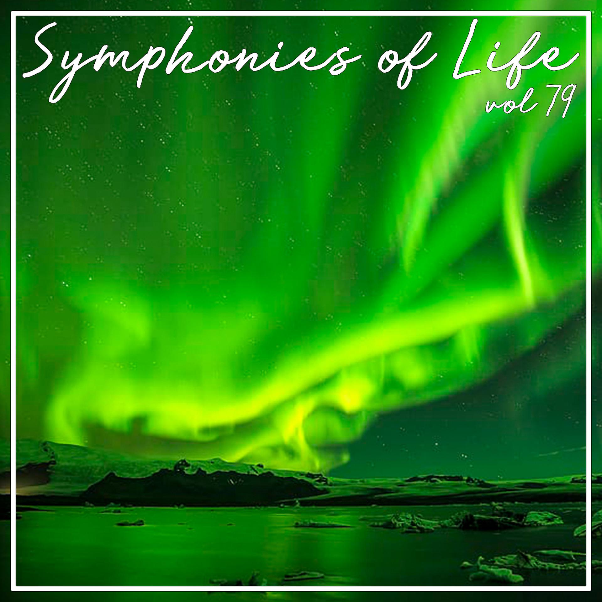 Постер альбома Symphonies of Life, Vol. 79 - Bach: Kantaten Vol 1