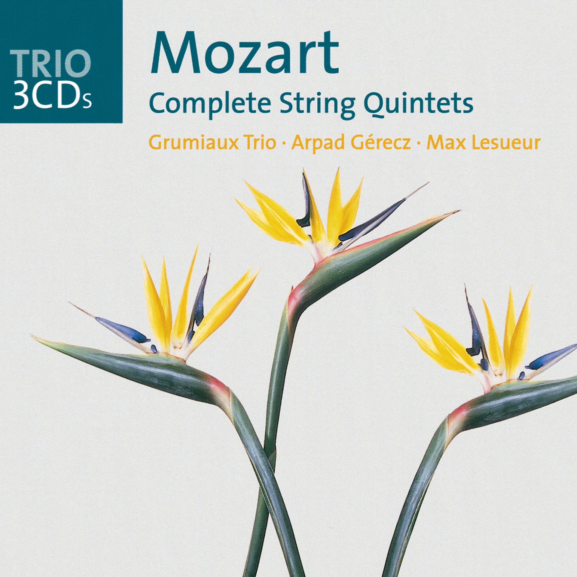 Постер альбома Mozart: The String Quintets