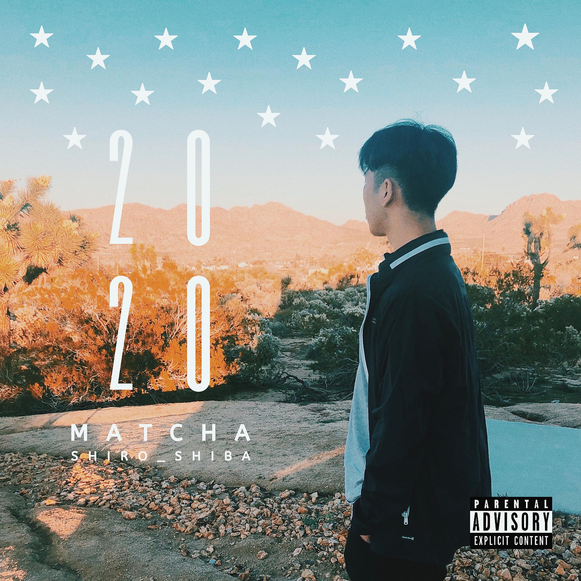 Постер альбома 20/20 (feat. shiro_shiba)