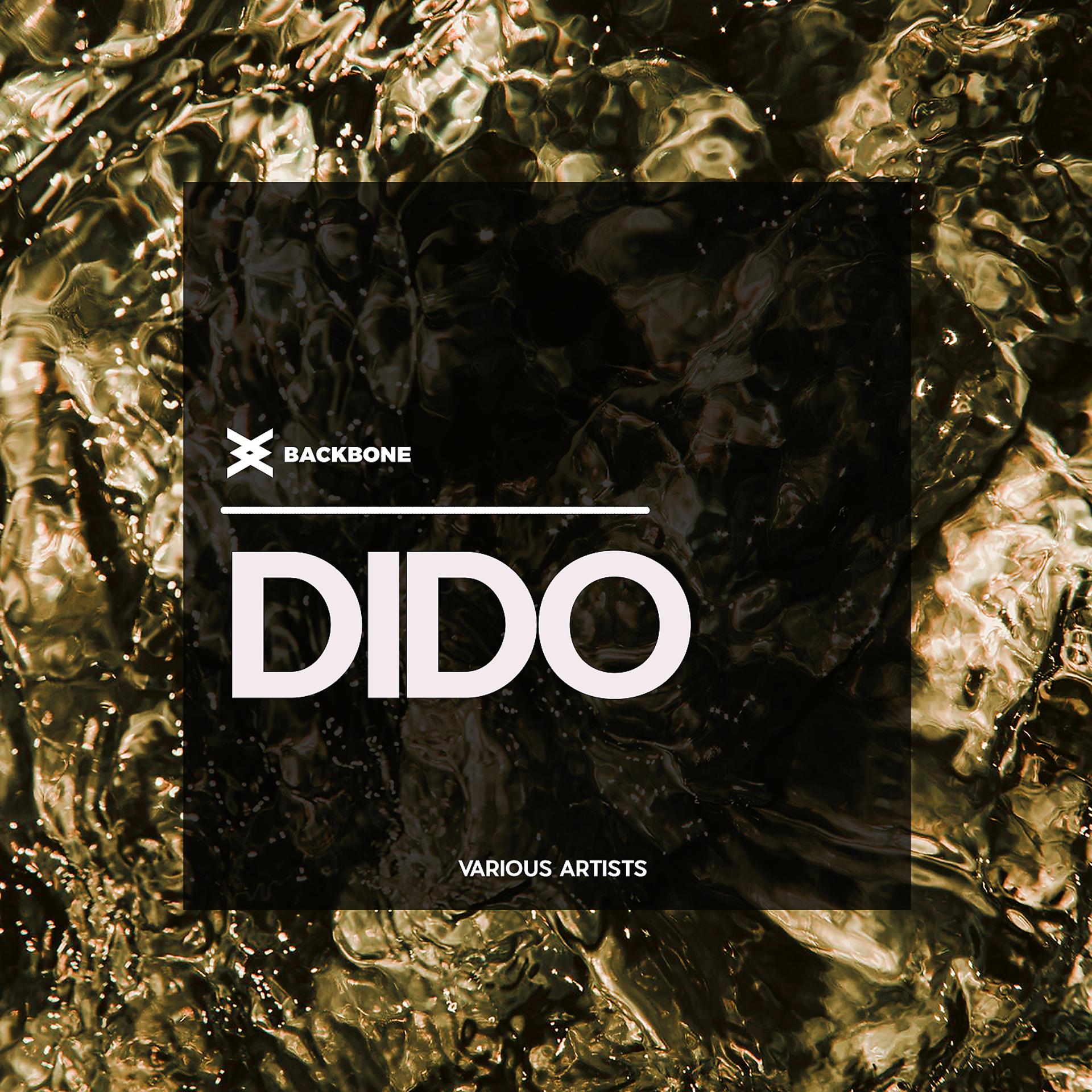 Постер альбома Dido