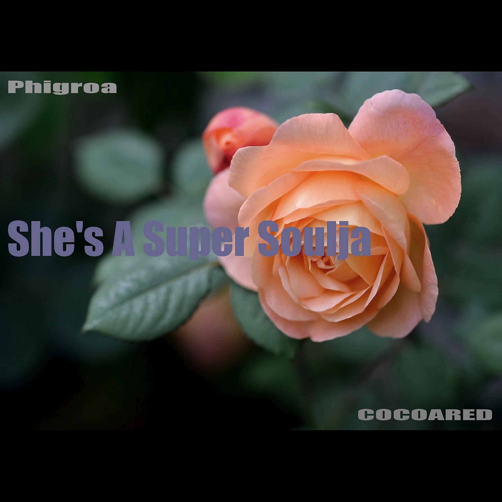 Постер альбома She's A Super Soulja (feat. Phigroa) [Brown Sugar Version]