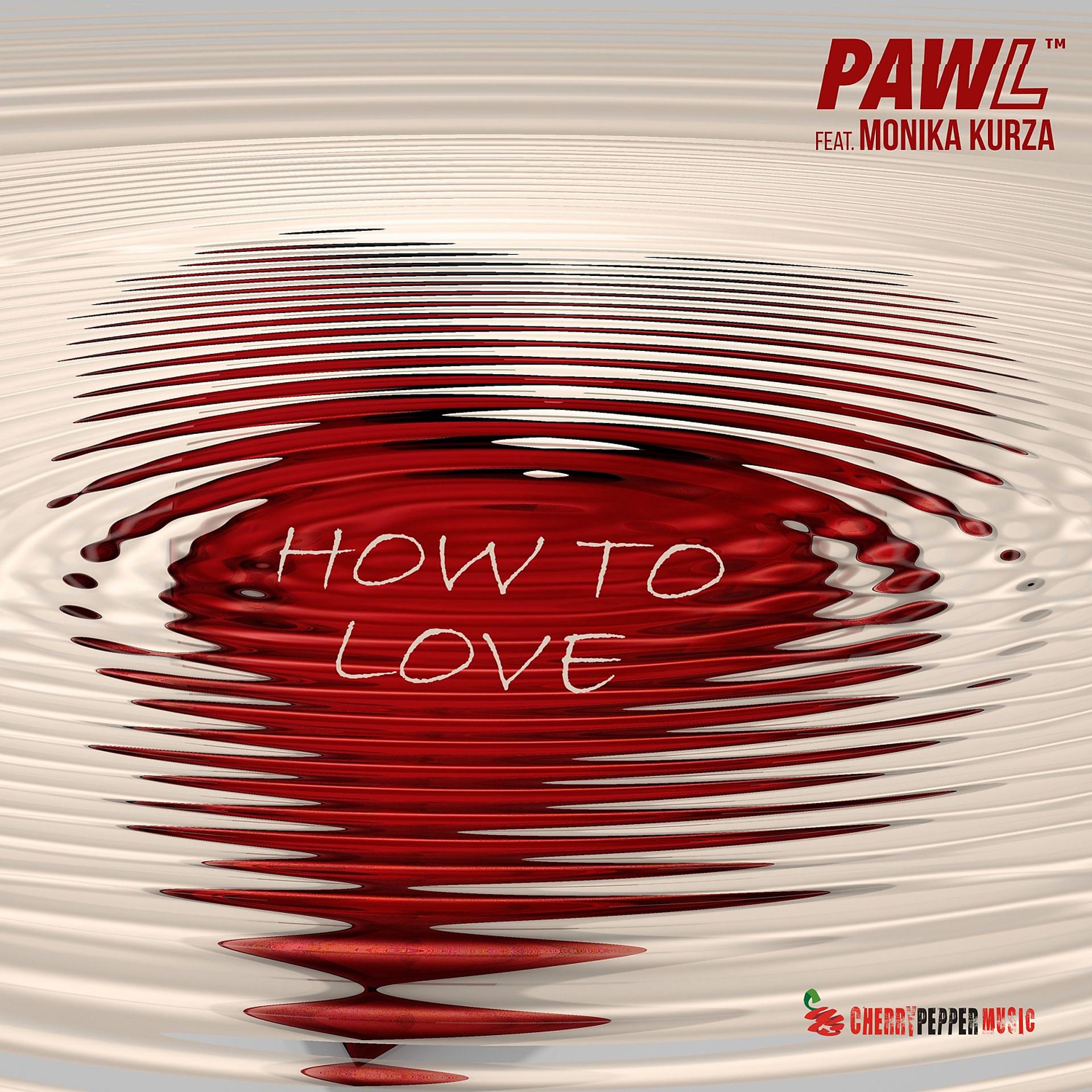 Постер альбома How To Love (feat. Monika Kurza)