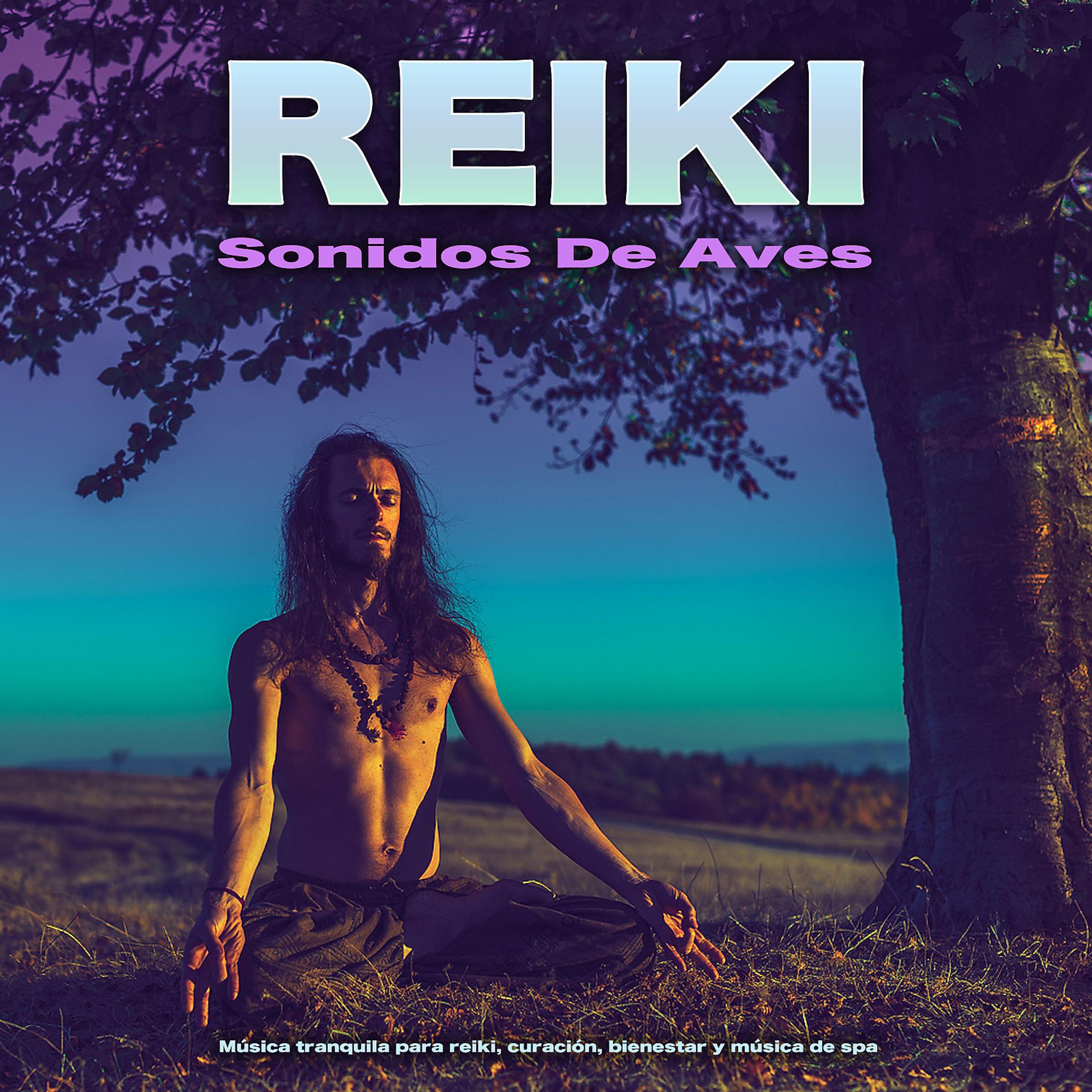 Постер альбома Reiki - Sonidos De Aves - Música tranquila para reiki, curación, bienestar y música de spa