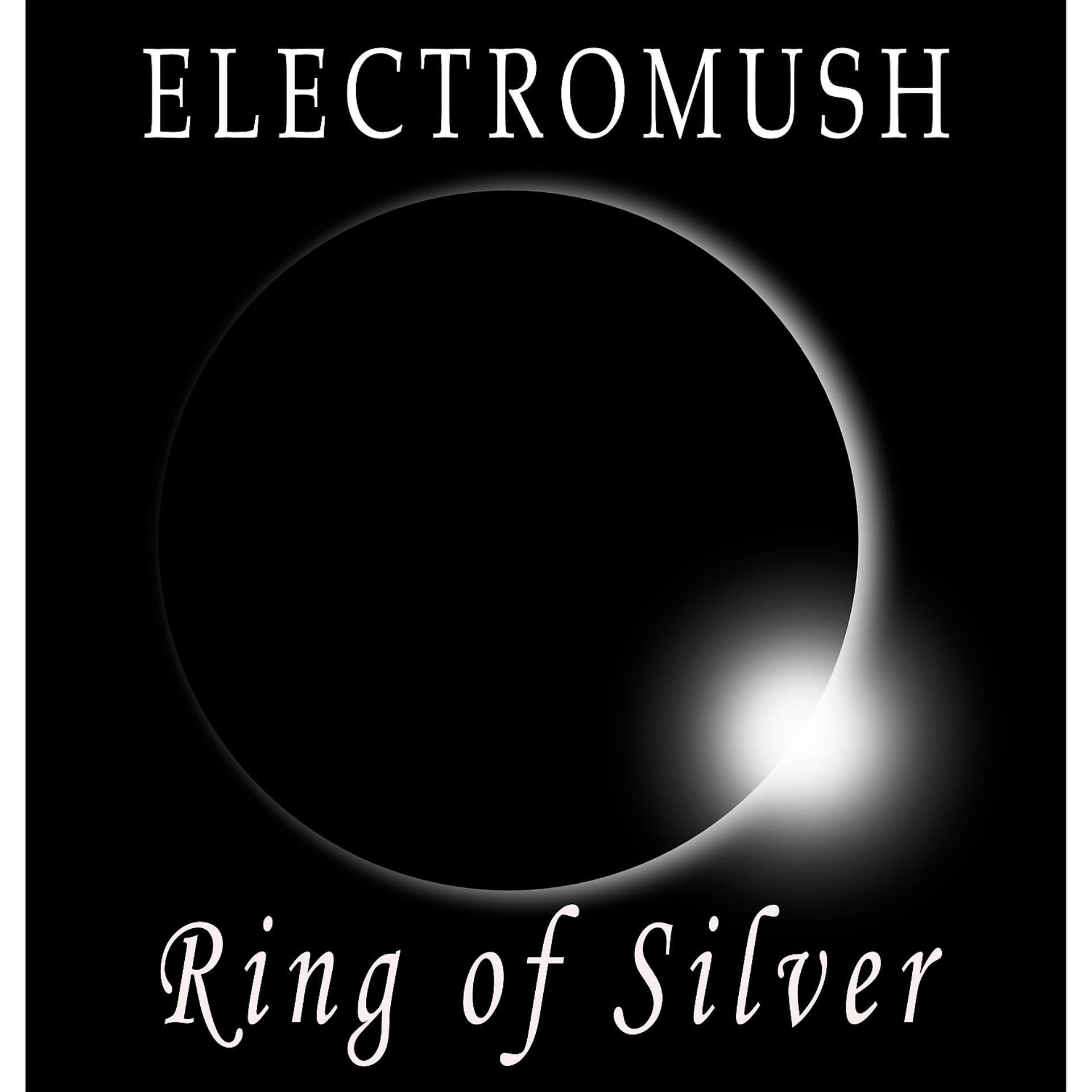 Постер альбома Ring of Silver