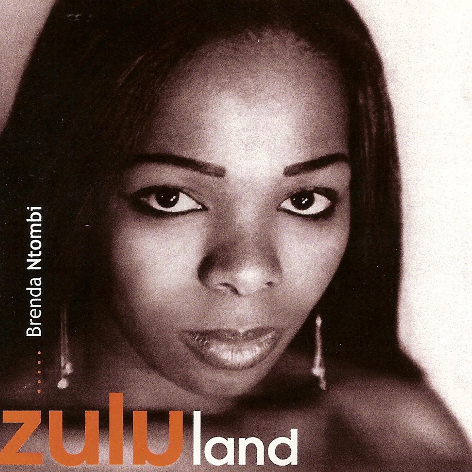 Постер альбома Zulu Land