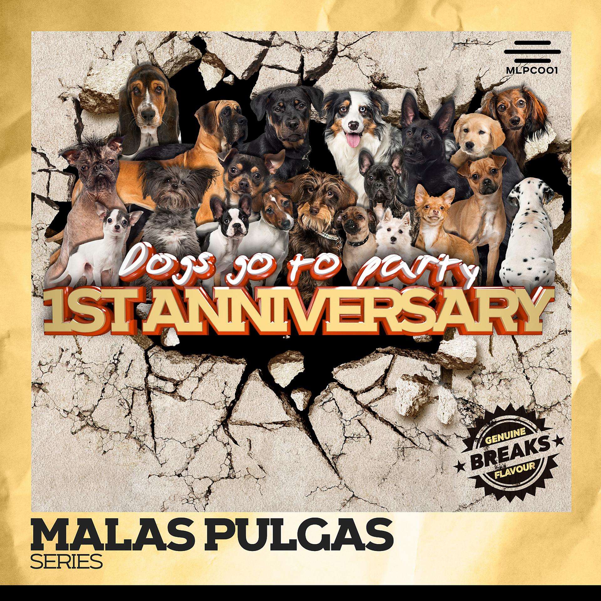 Постер альбома Dogs Go To Party: 1st Anniversary