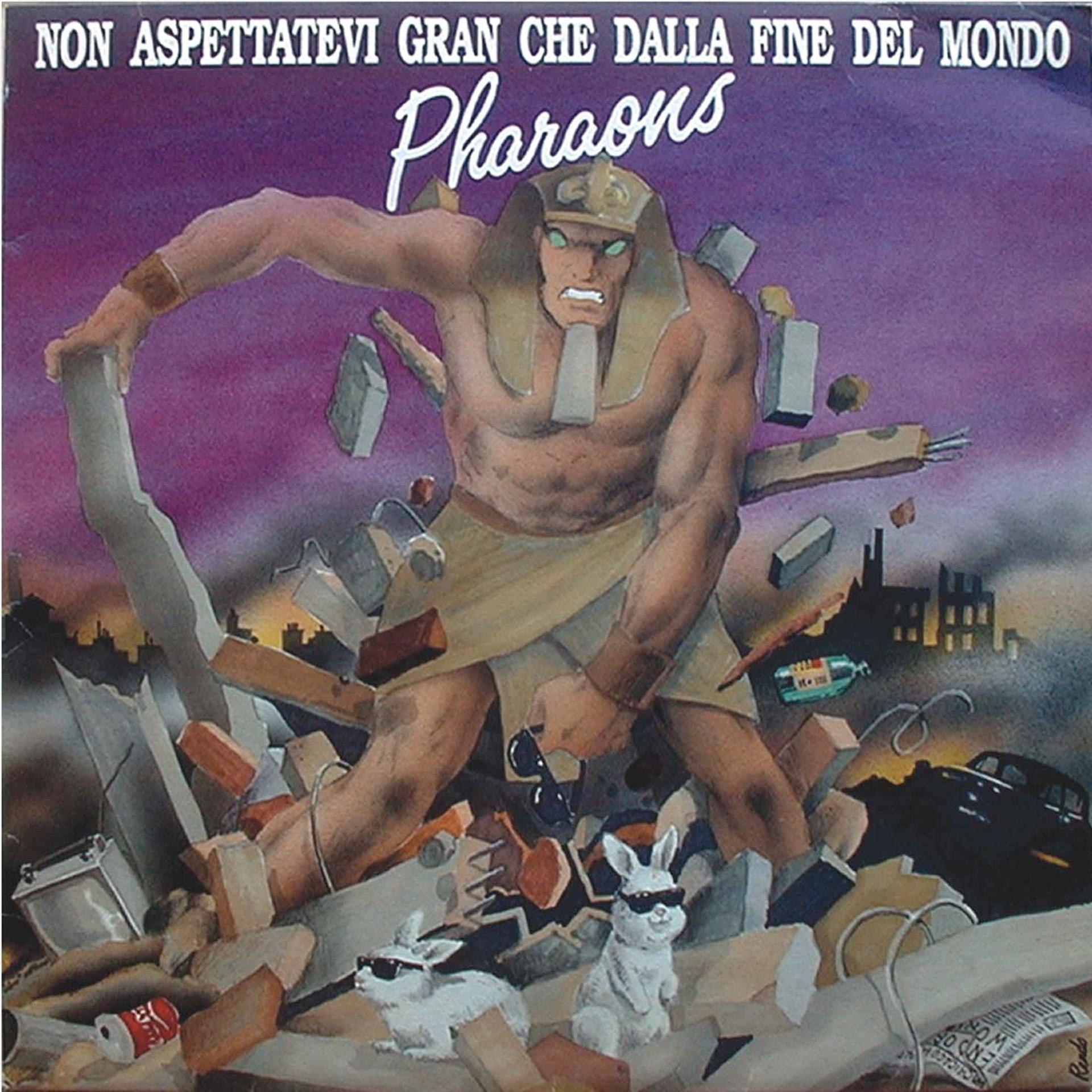 Постер альбома Non Aspettatevi Gran Che Dalla Fine Del Mondo
