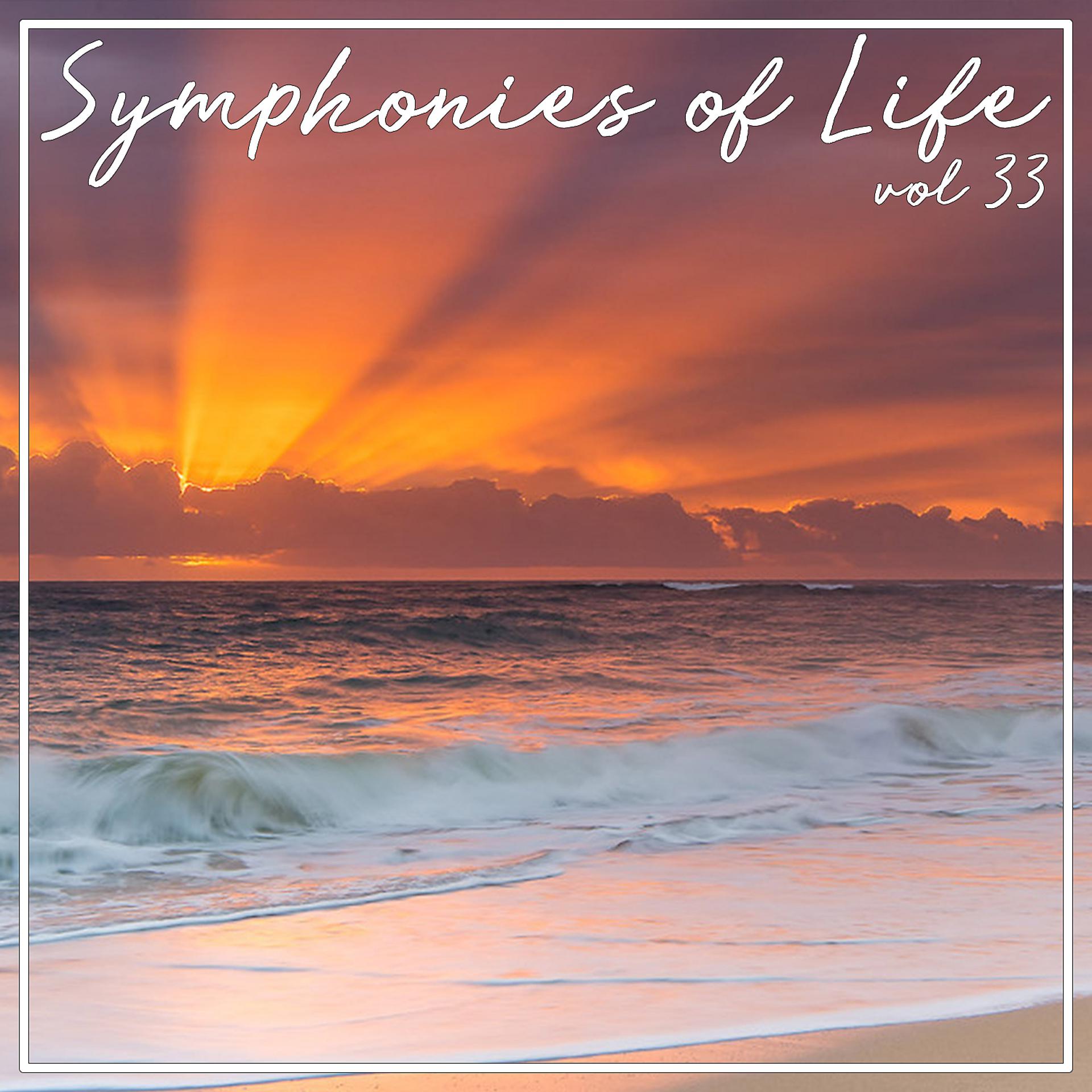 Постер альбома Symphonies of Life, Vol. 33 - Bruch; Weihnachtsmusik  Christkindlieder, Ave Maria