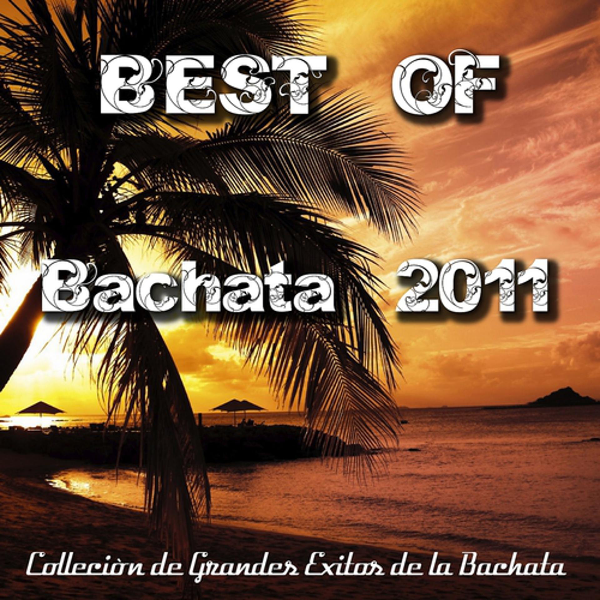 Постер альбома Bachata Best Exitos (2011)