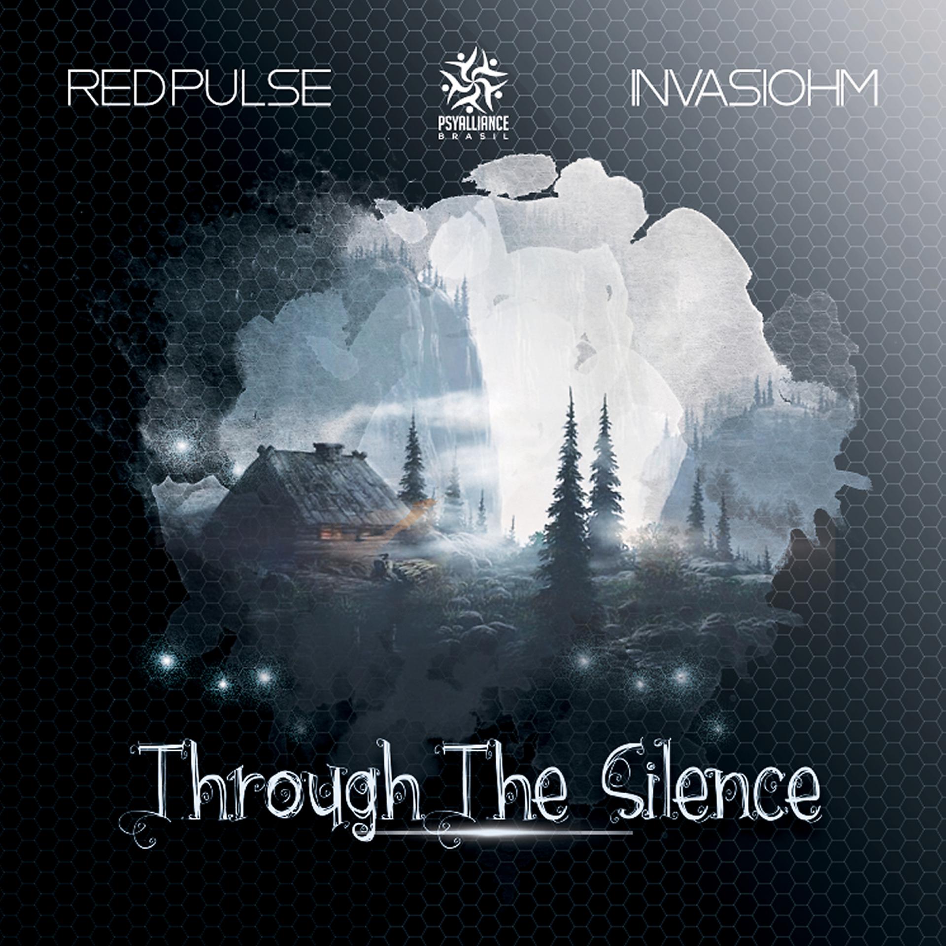 Постер альбома Through The Silence