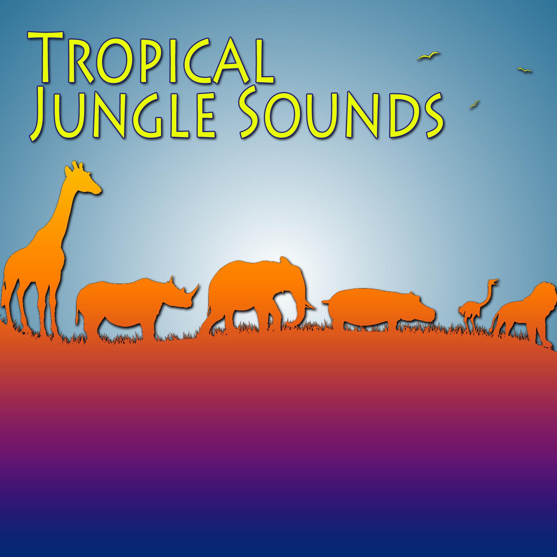 Постер альбома Tropical Jungle Sounds