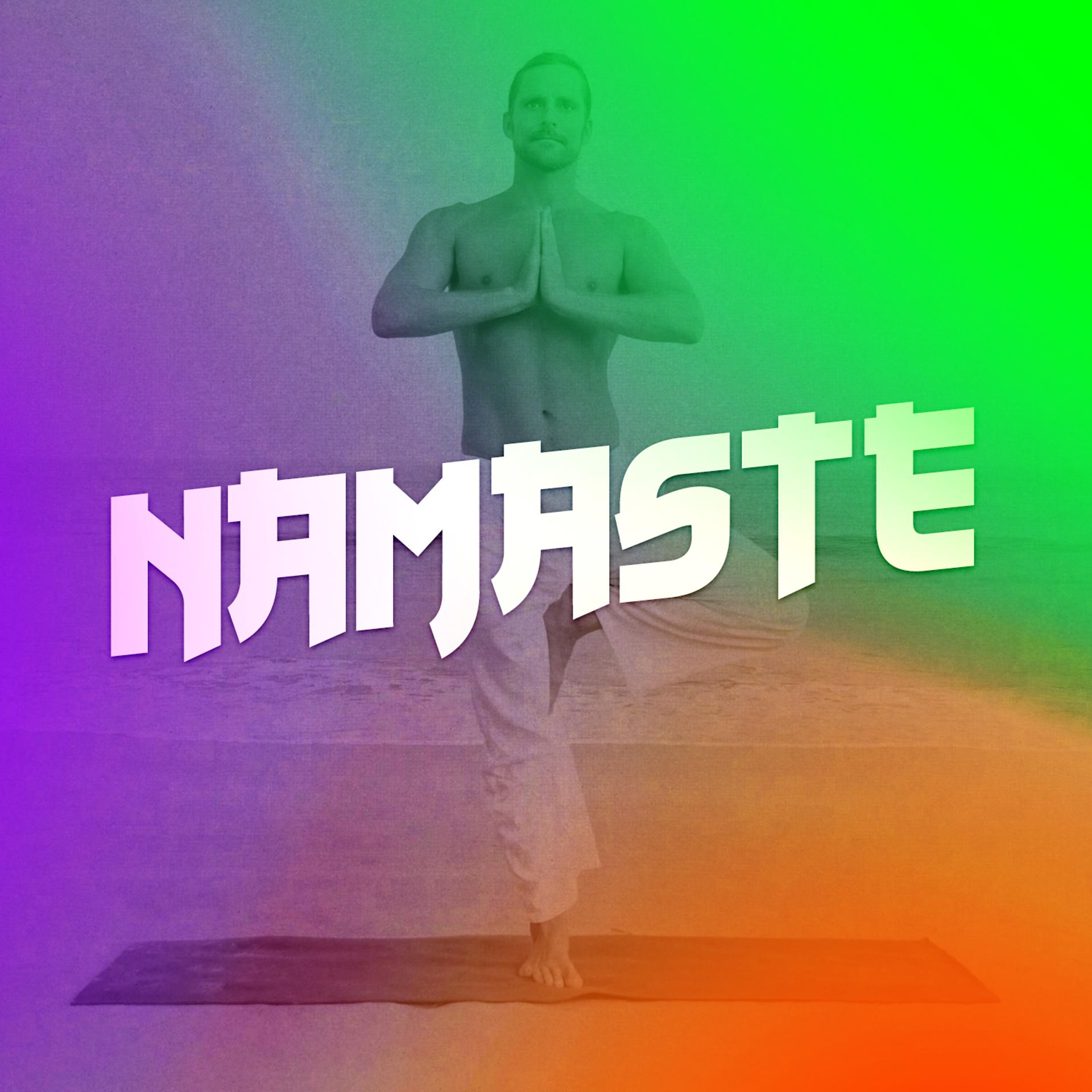 Постер альбома Namaste