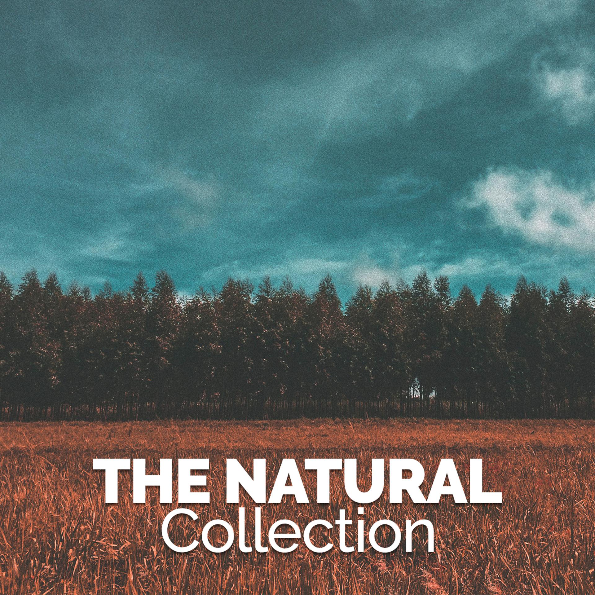 Постер альбома The Nature Collection