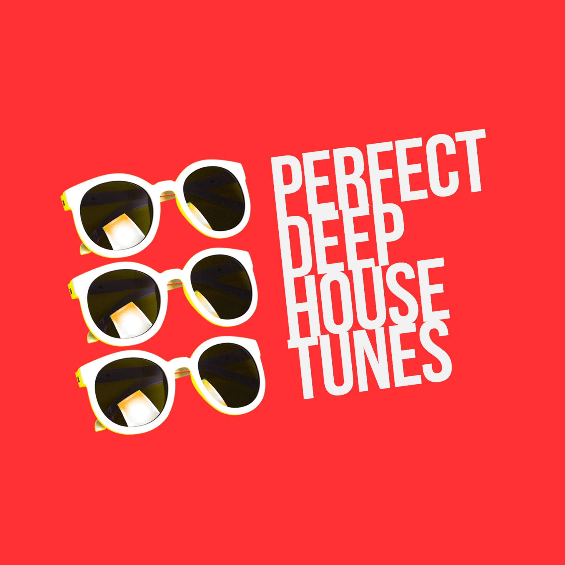 Постер альбома Perfect Deep House Tunes