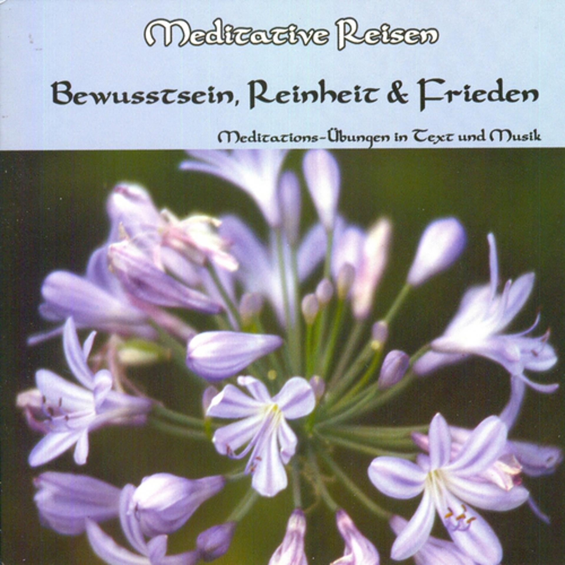 Постер альбома Meditative Reisen: Bewusstsein, Reinheit & Frieden