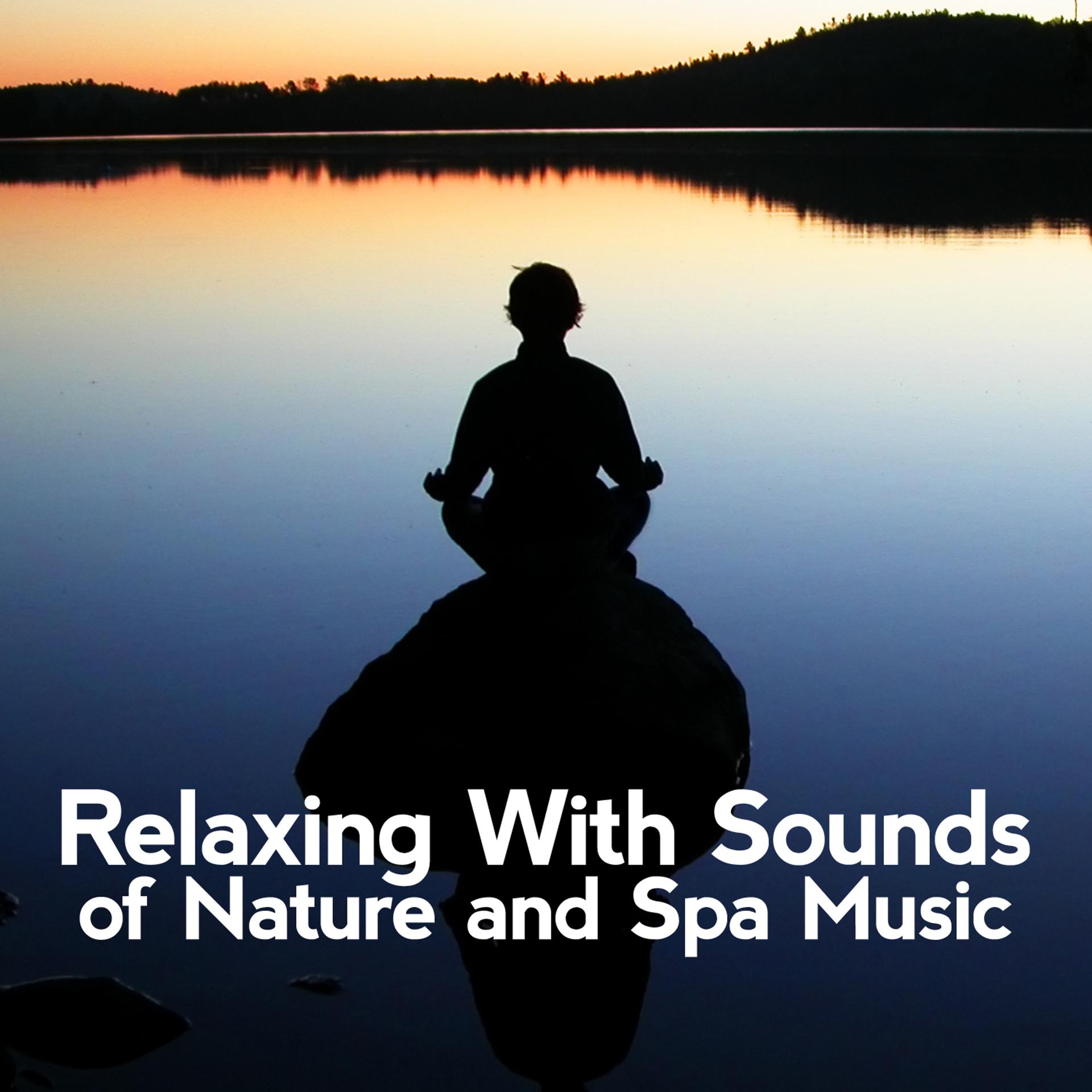 Постер альбома Relaxing with Sounds of Nature and Spa Music