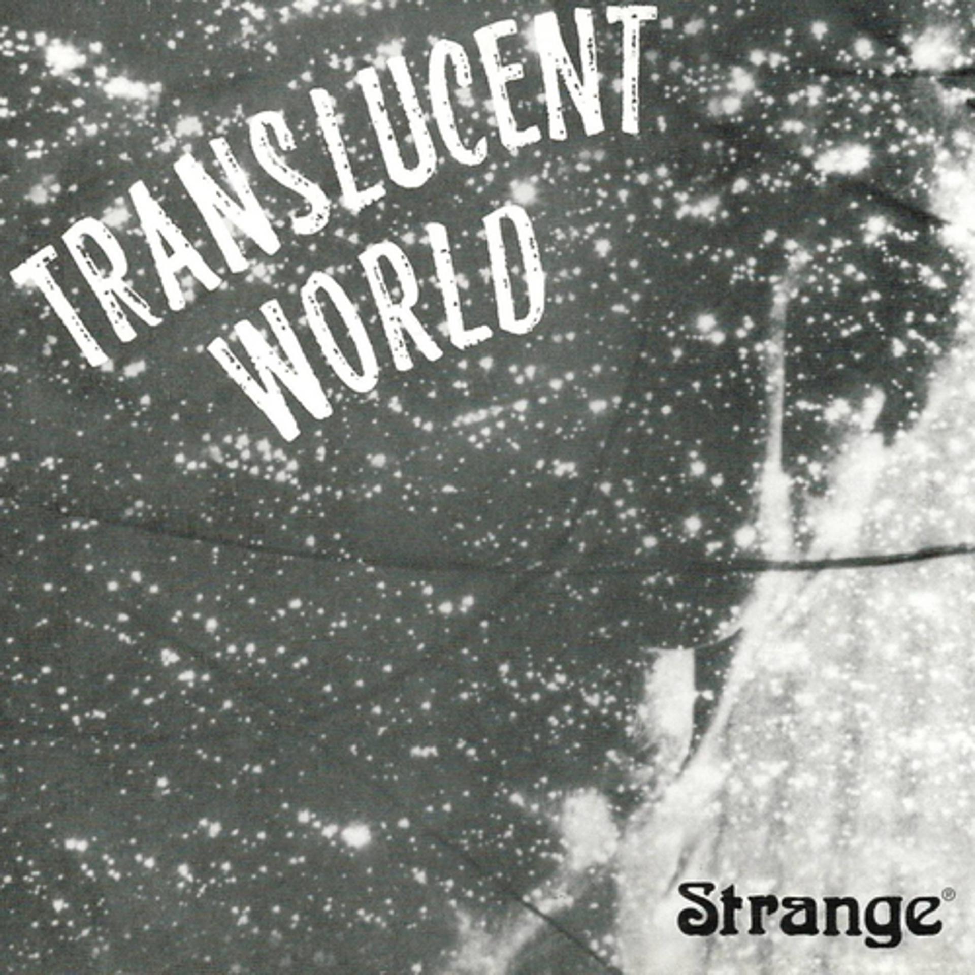 Постер альбома Translucent World