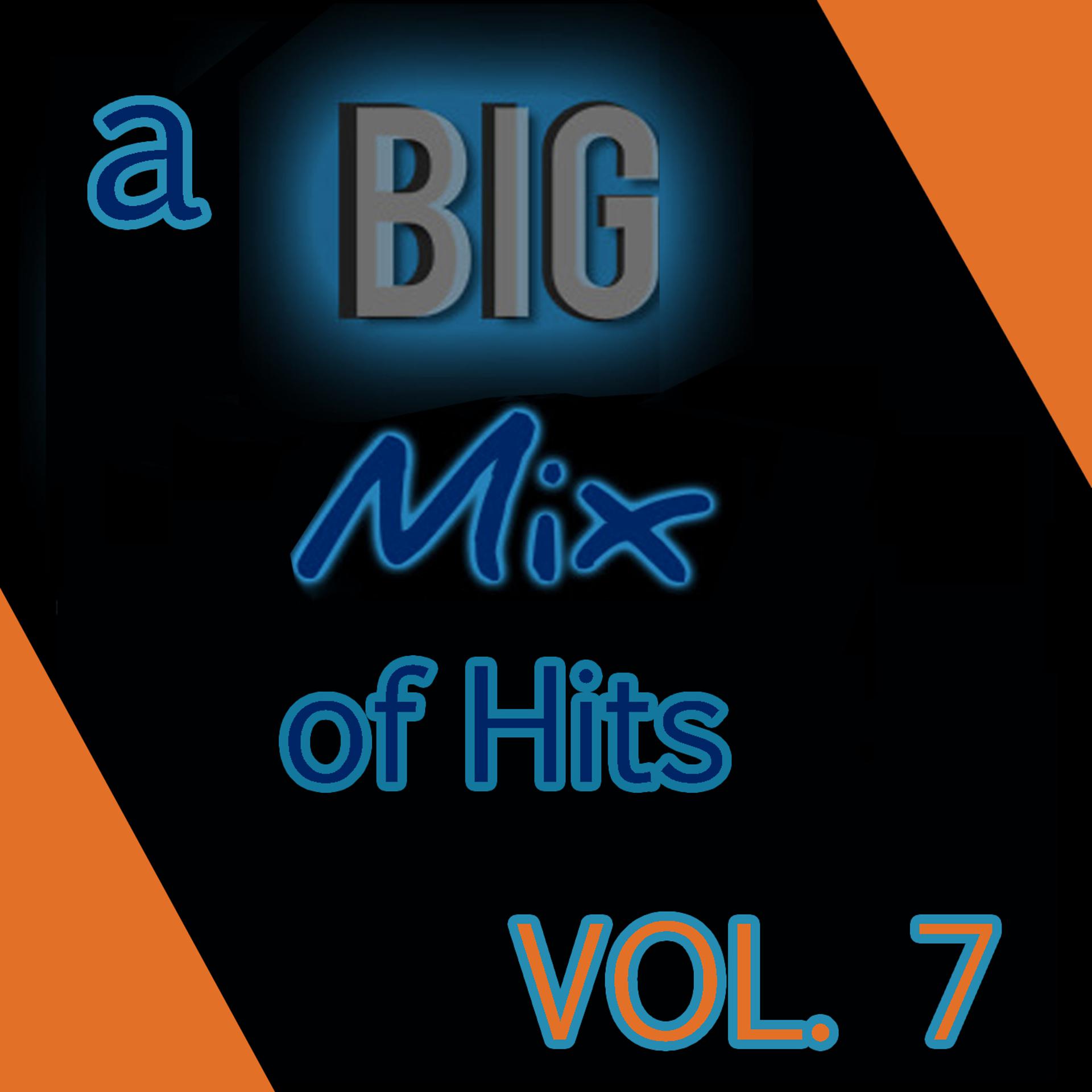 Постер альбома A Big Mix of Hits, Vol. 7