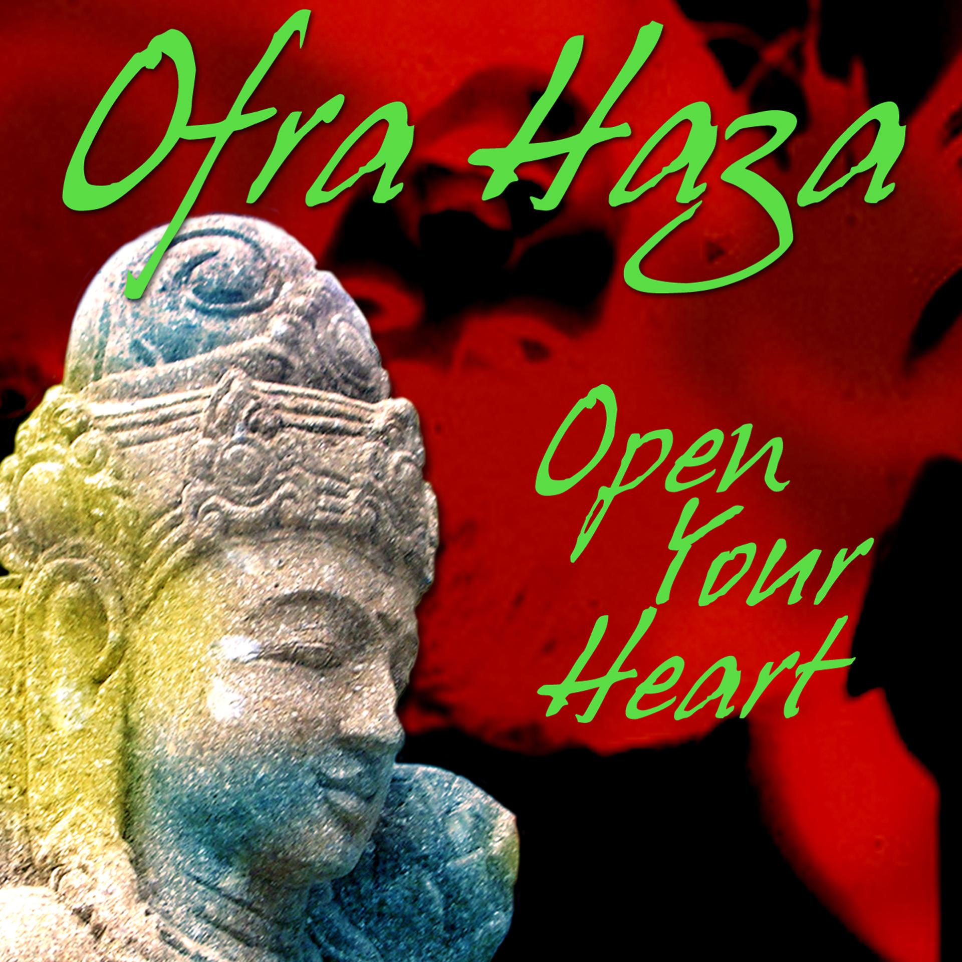 Постер альбома Open Your Heart (single)