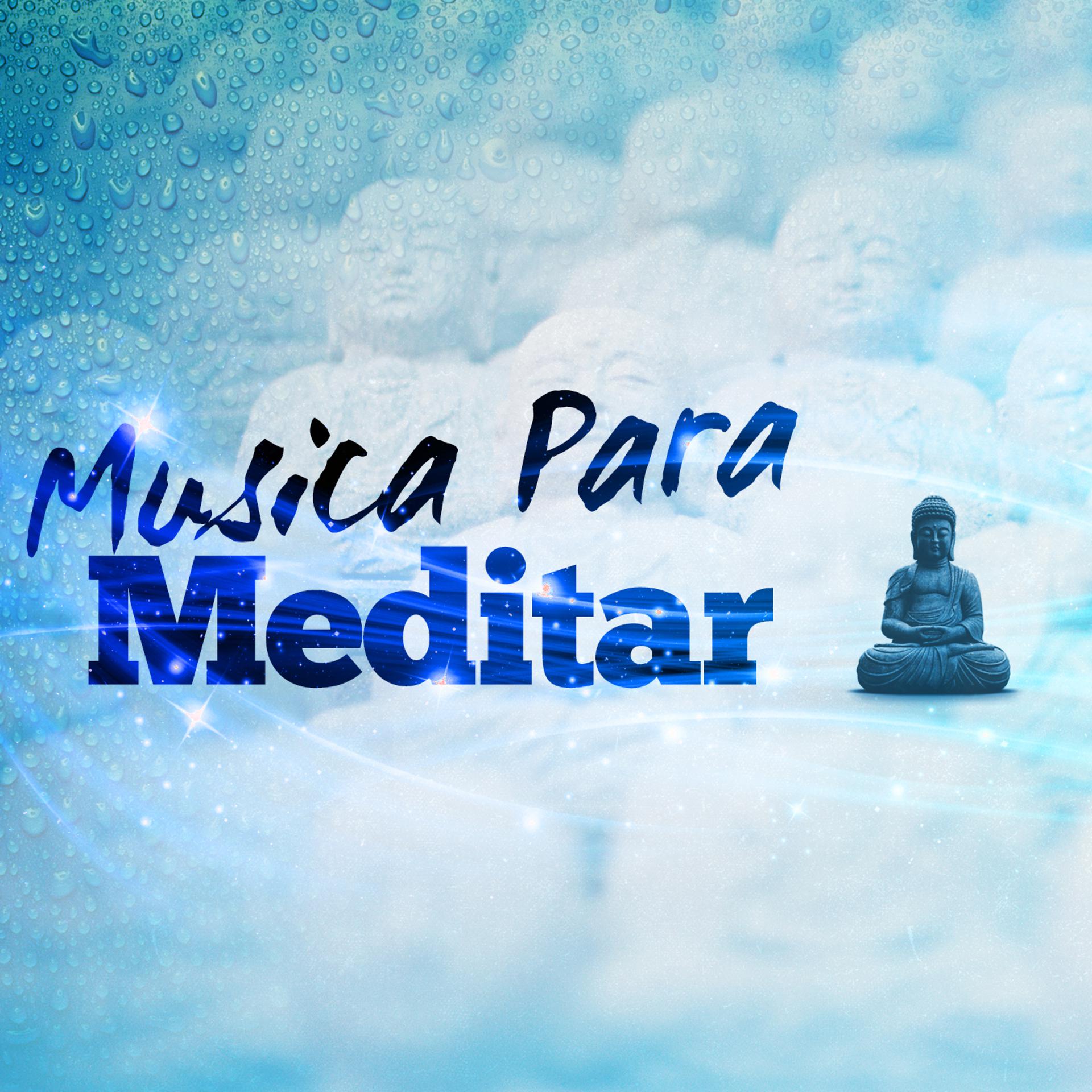 Постер альбома Musica para Meditar
