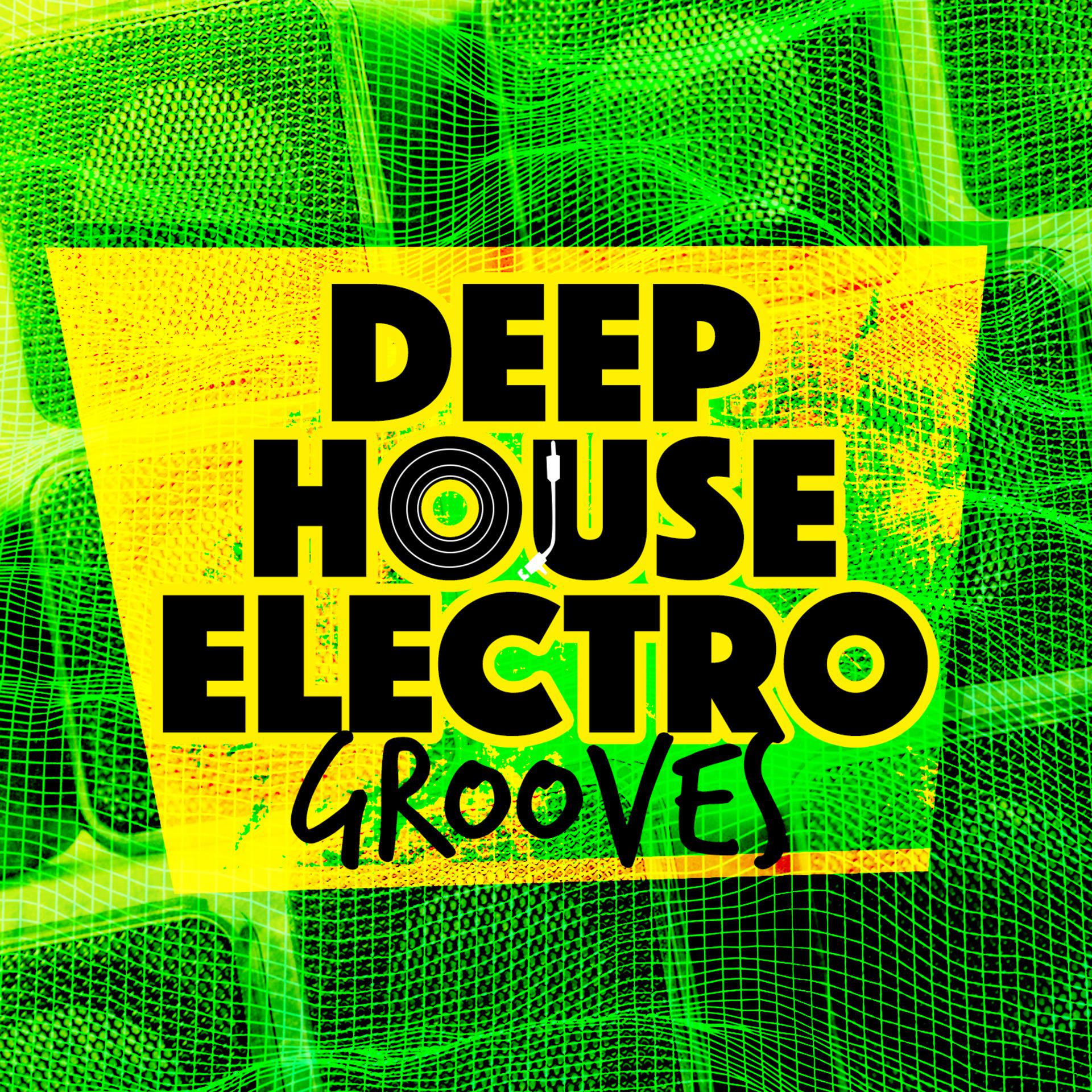Постер альбома Deep House Electro Grooves