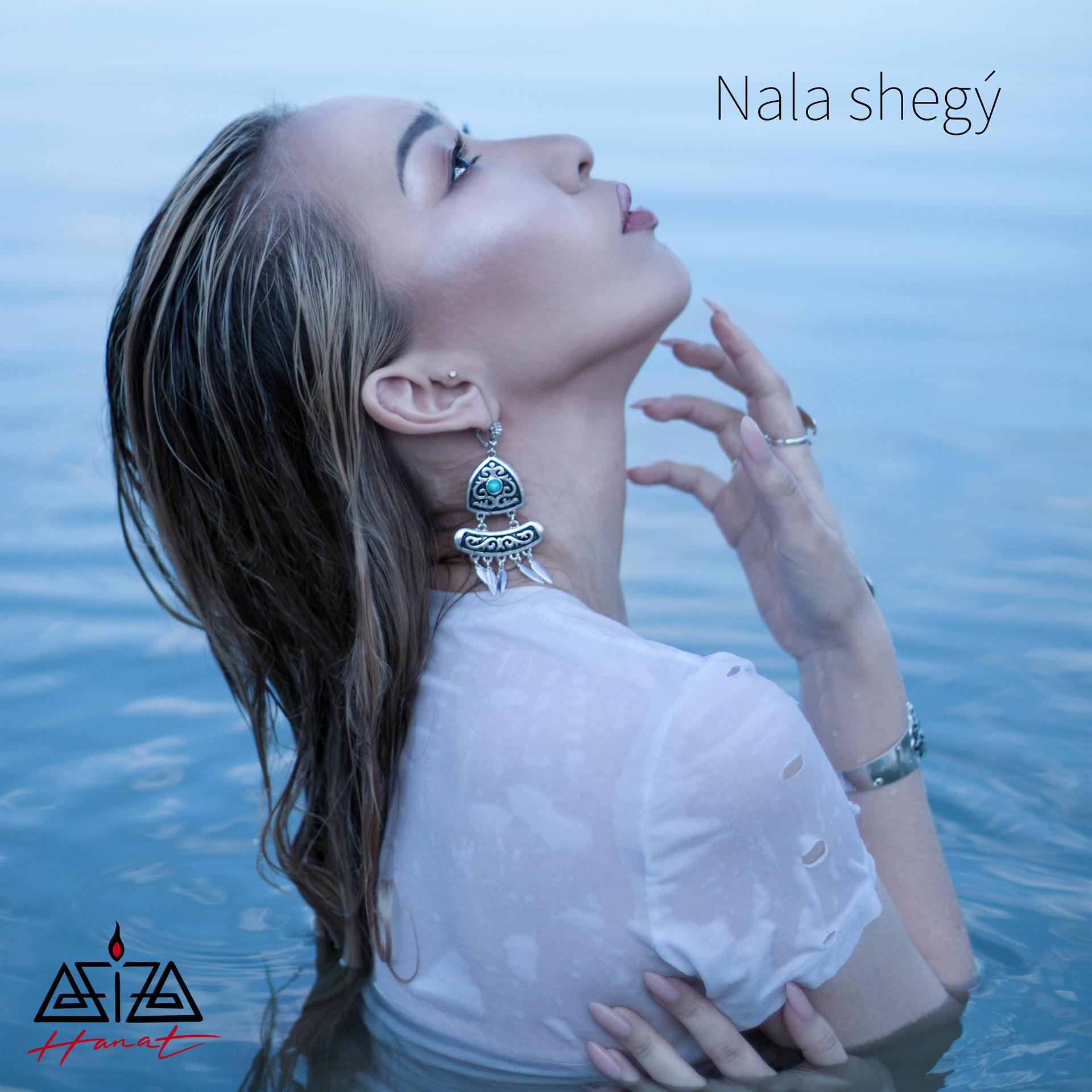 Постер альбома Nala Shegý