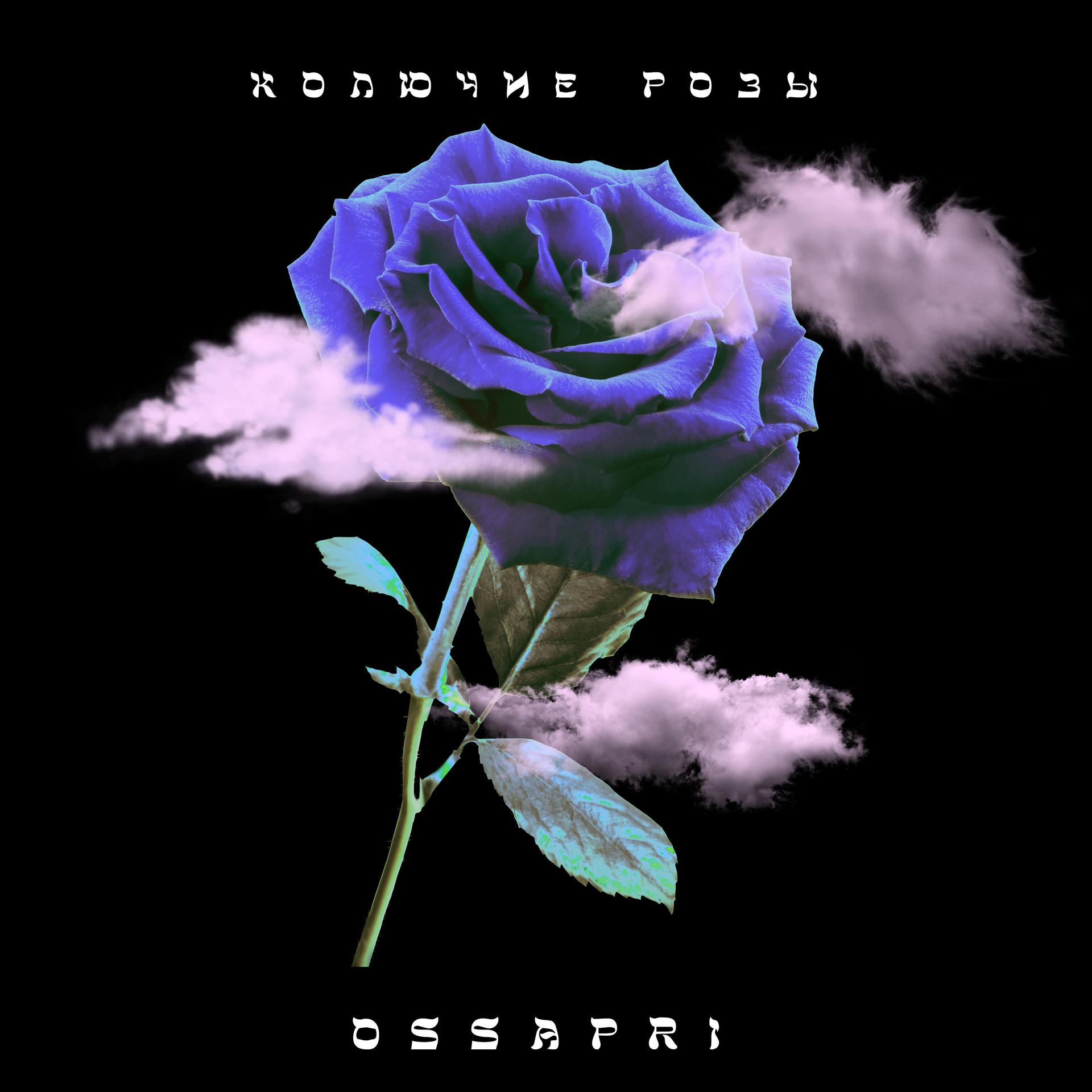 Постер альбома Колючие розы