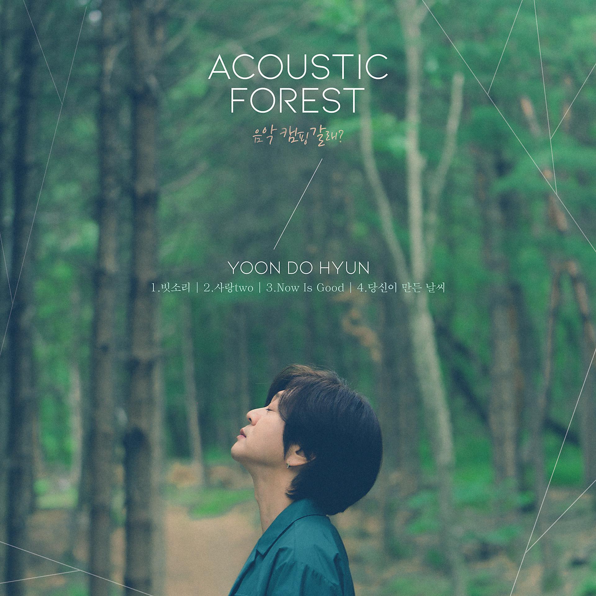 Постер альбома The Acoustic Forest