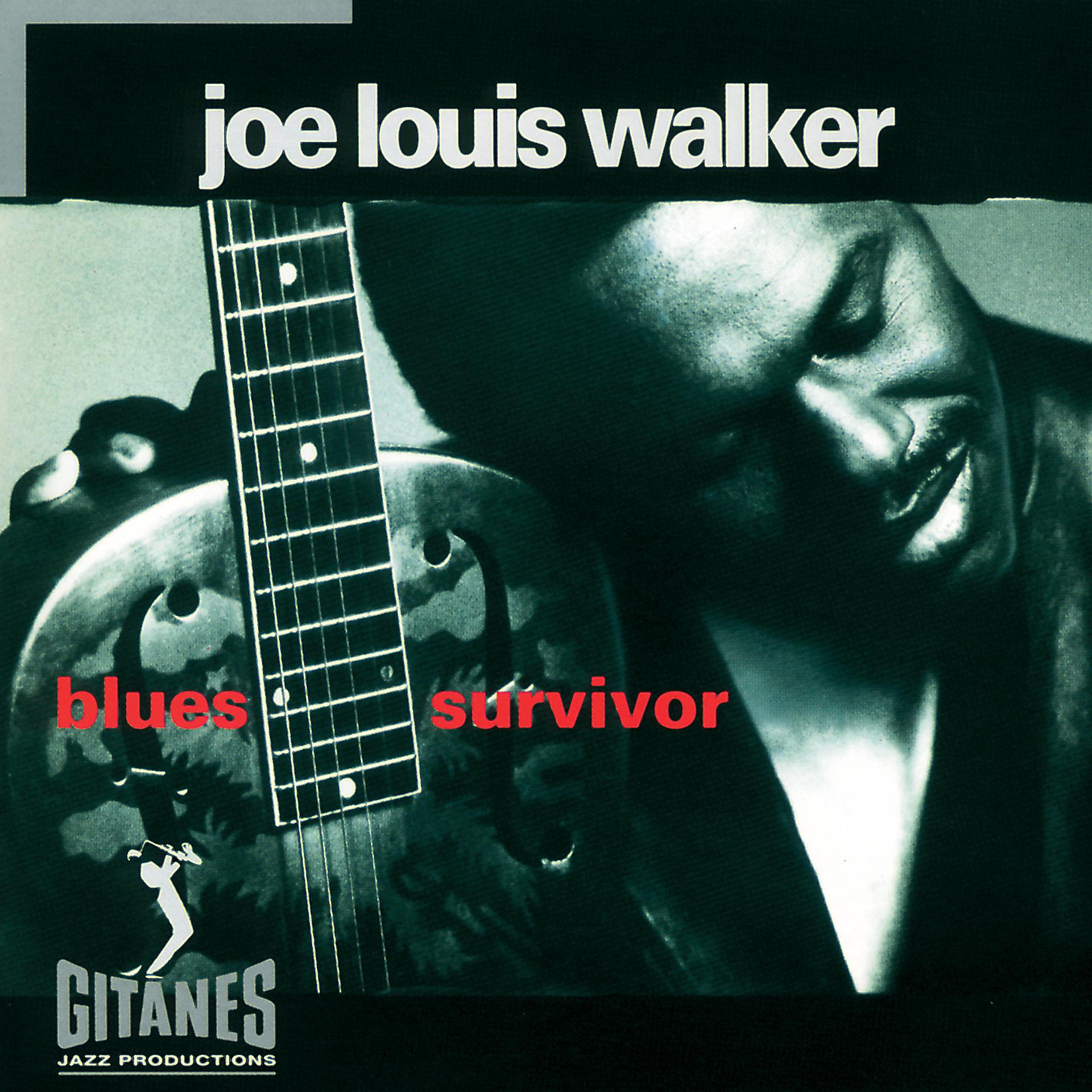 Постер альбома Blues Survivor