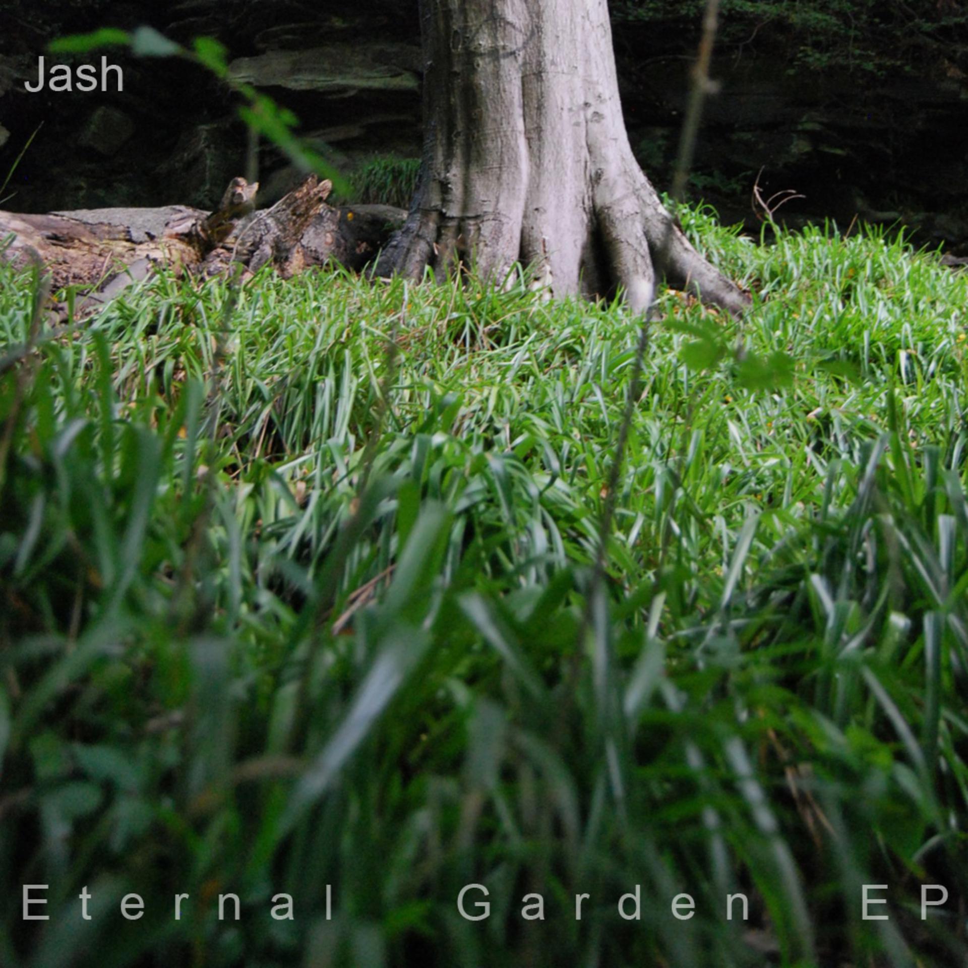 Постер альбома Eternal Garden - EP