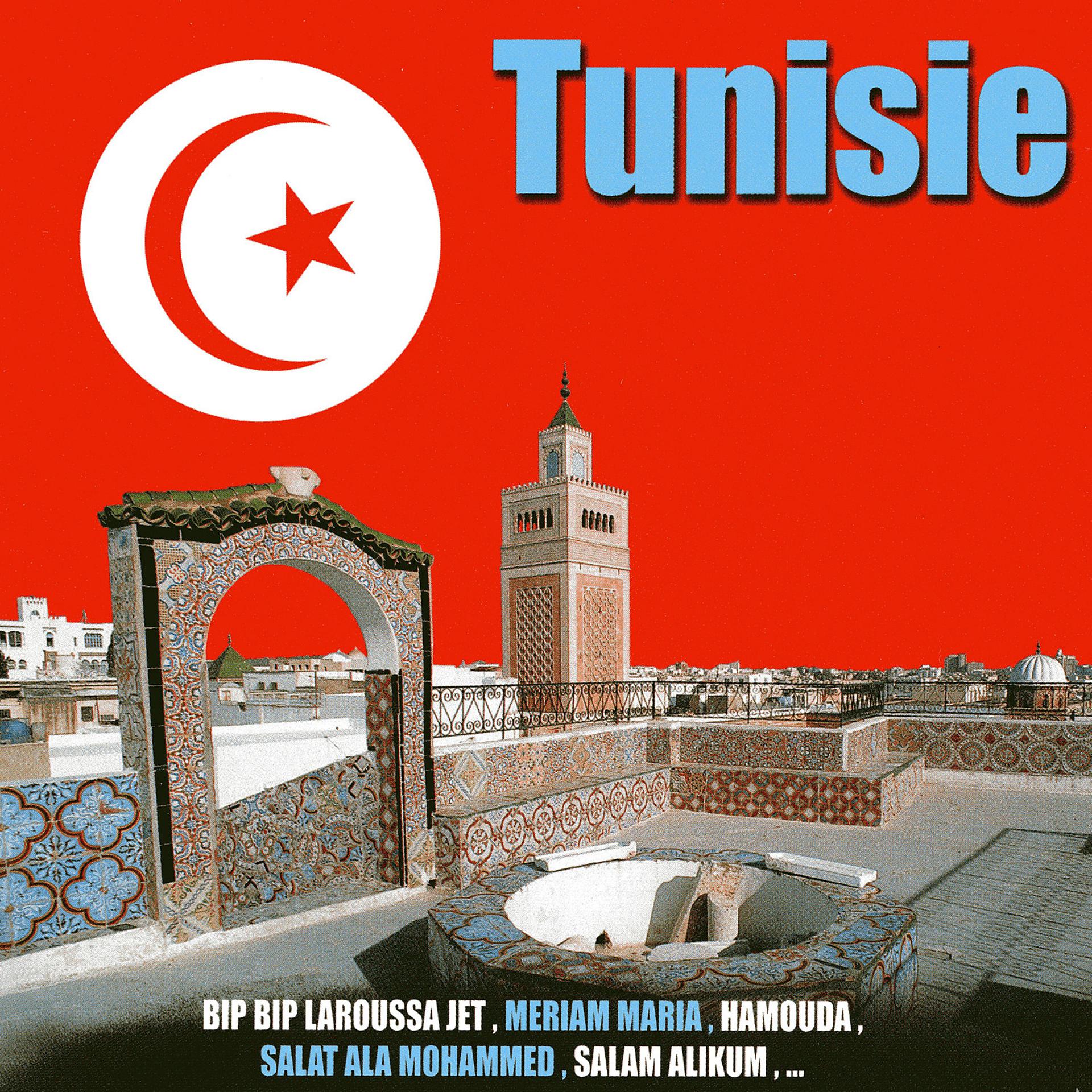 Постер альбома Stars of traditional music from Tunisia (Tunisie)