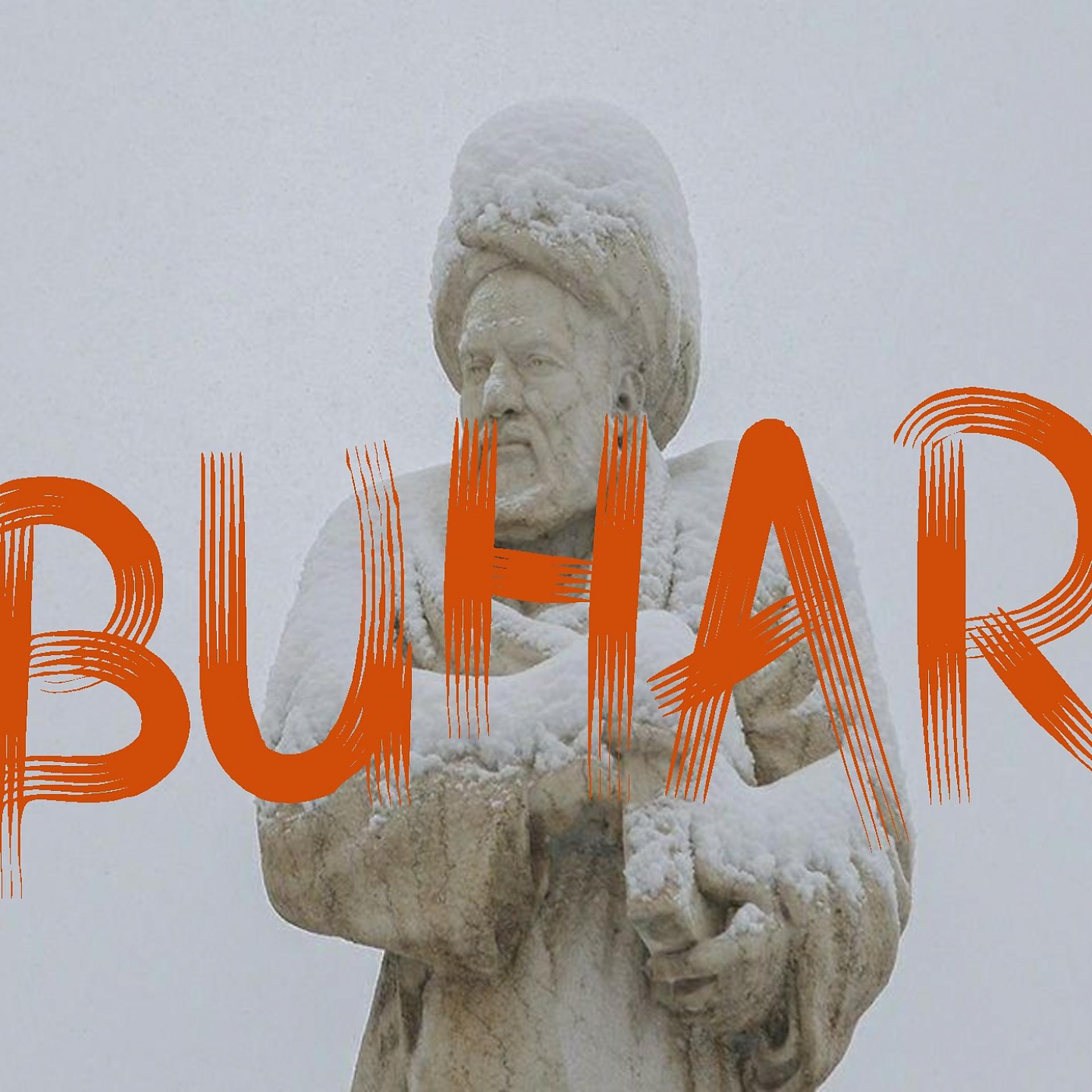 Постер альбома Buhar