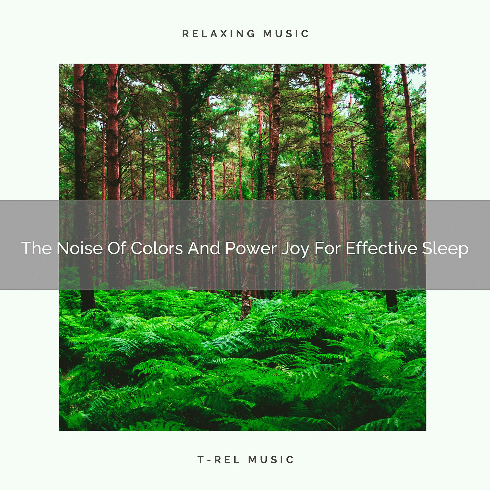 Постер альбома The Noise Of Colors And Power Joy For Effective Sleep
