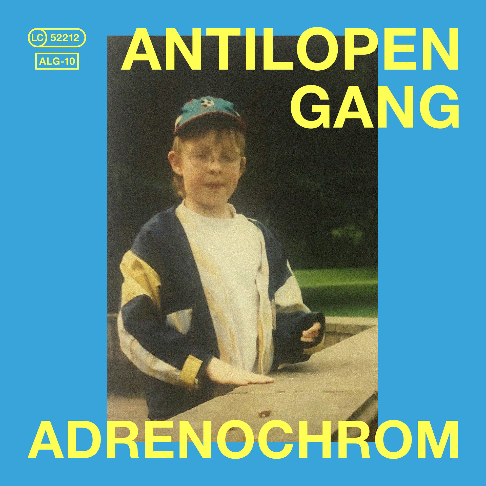 Постер альбома Adrenochrom