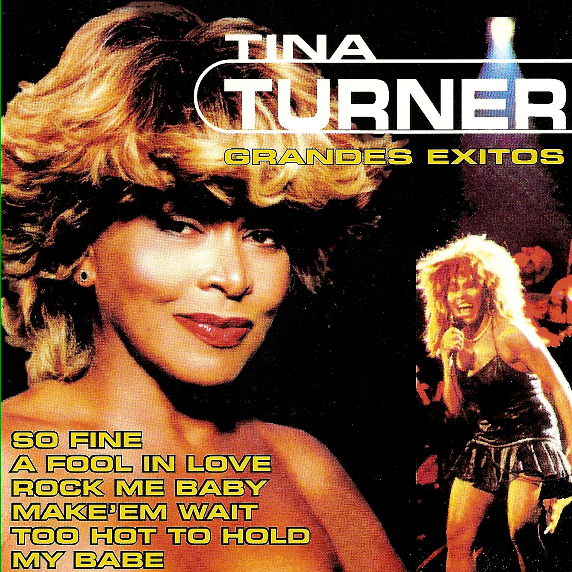 Постер альбома Tina Turner Greatest Hits