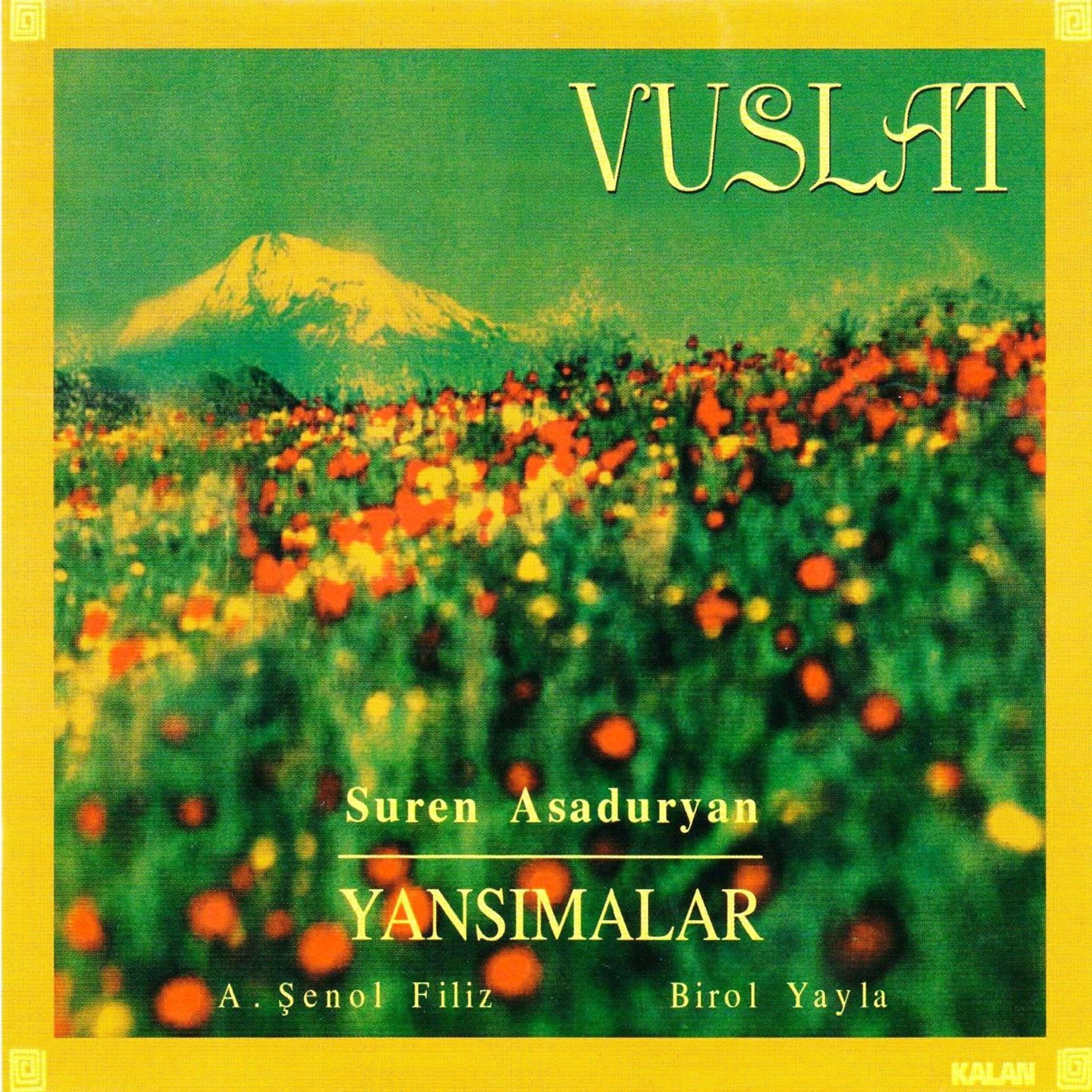 Постер альбома Vuslat
