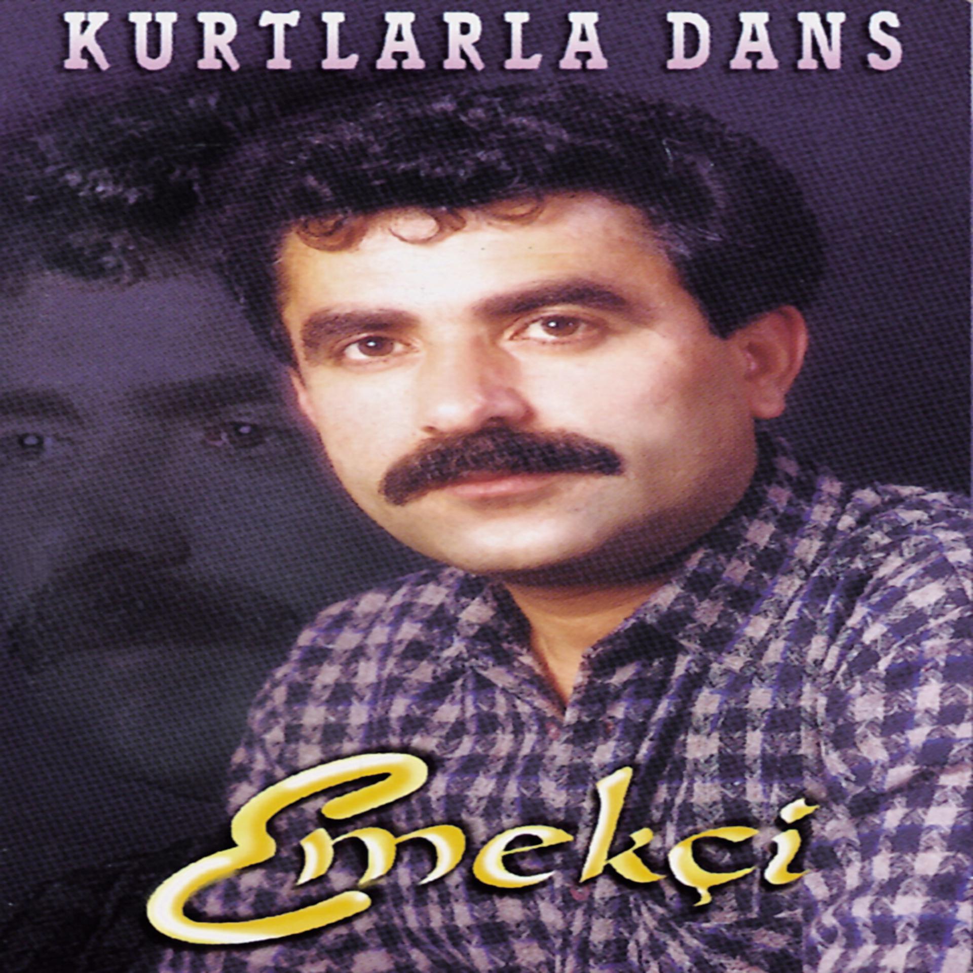 Постер альбома Kurtlarla Dans