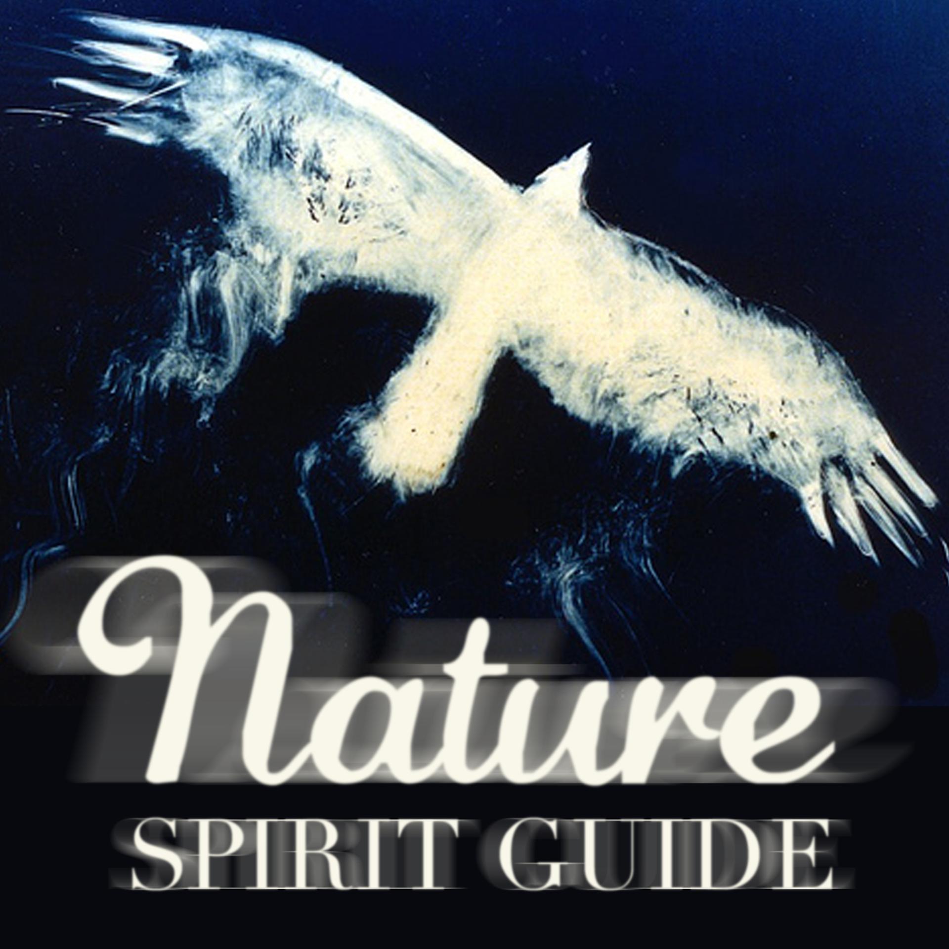 Постер альбома Nature Spirit Guide (Native Sounds Drums Healing & Peace)