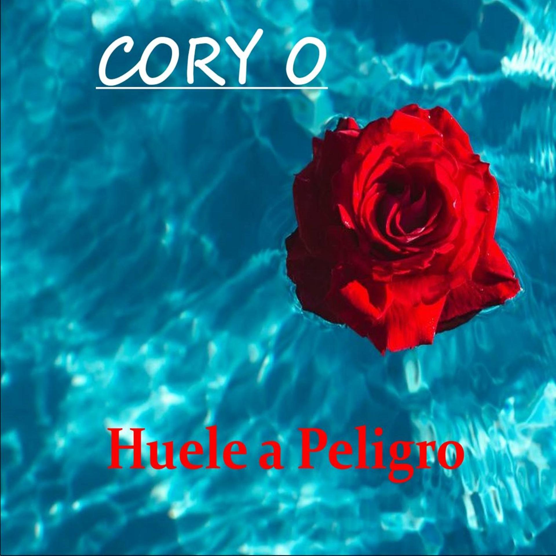 Постер альбома Huele a Peligro (Salsa Mix)