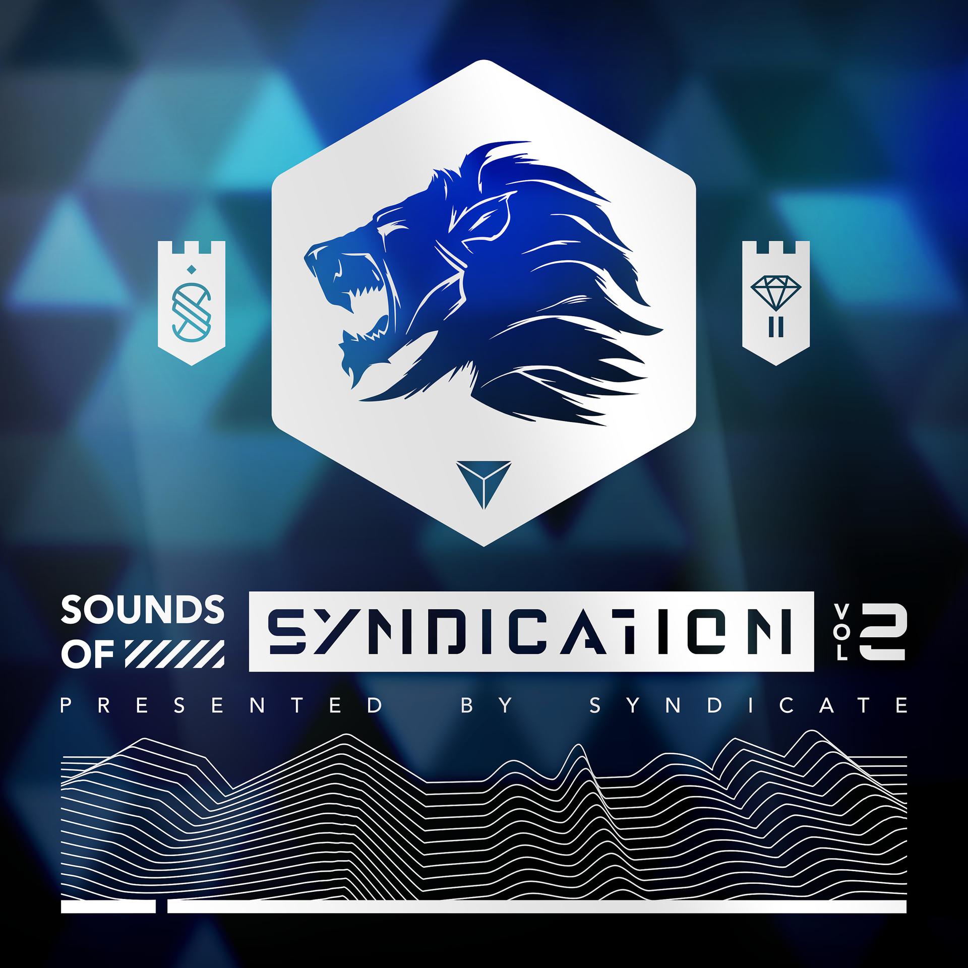 Постер альбома Sounds of Syndication, Vol. 2 (Presented by Syndicate)