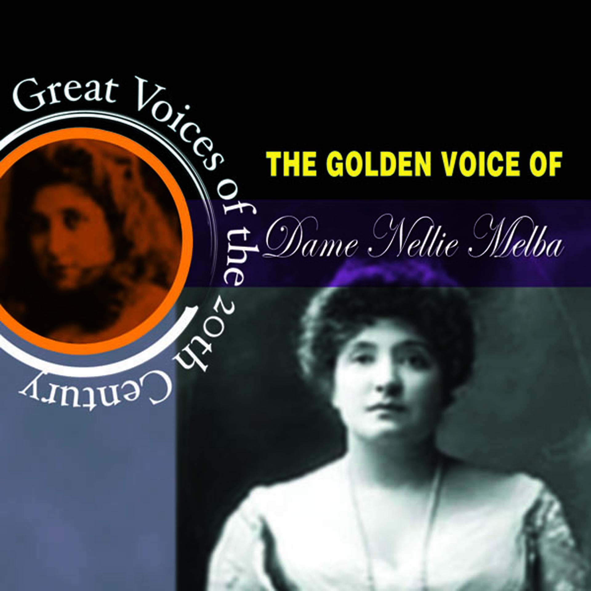 Постер альбома Great Voices Of The 20th Century