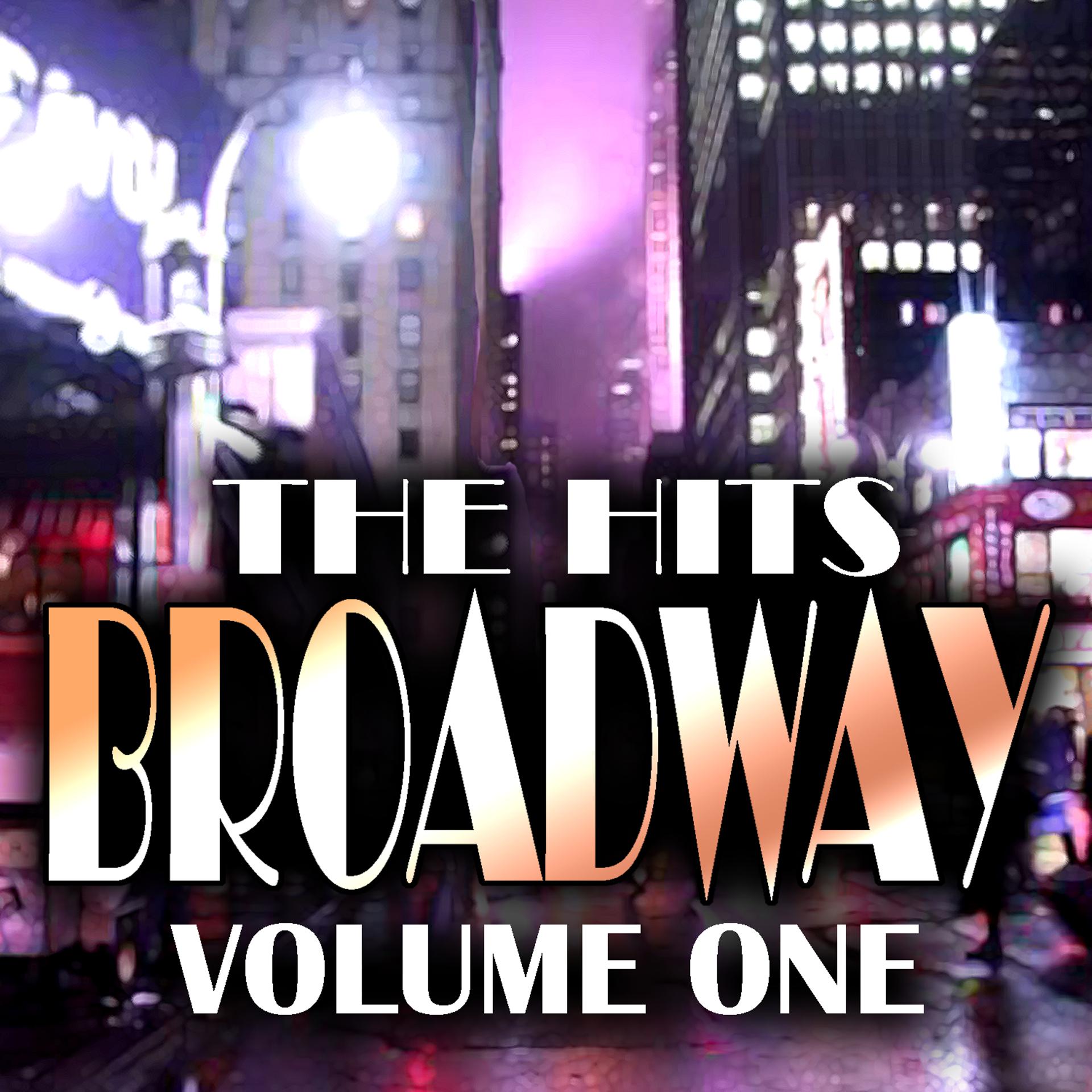 Постер альбома Hits Of Broadway Volume 1