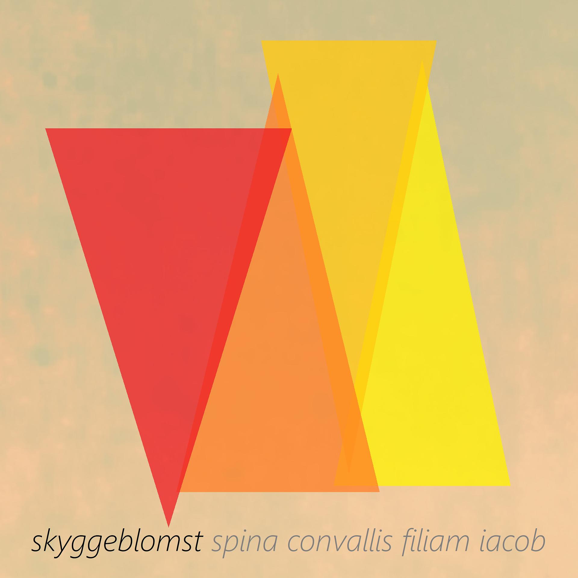 Постер альбома Spina Convallis Filiam Iacob