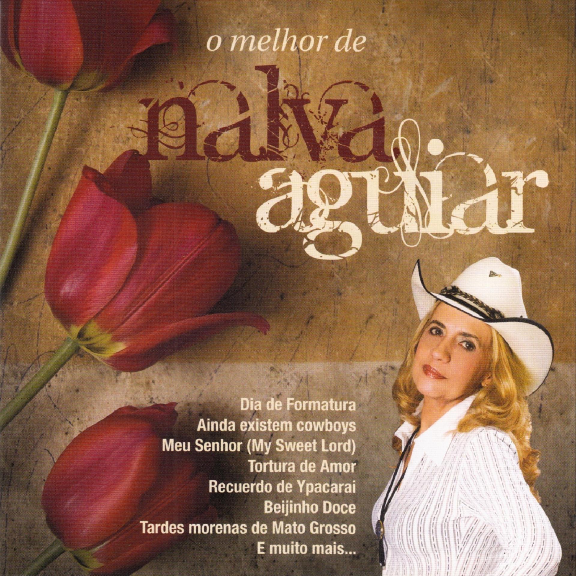 Постер альбома O Melhor de Nalva Aguiar