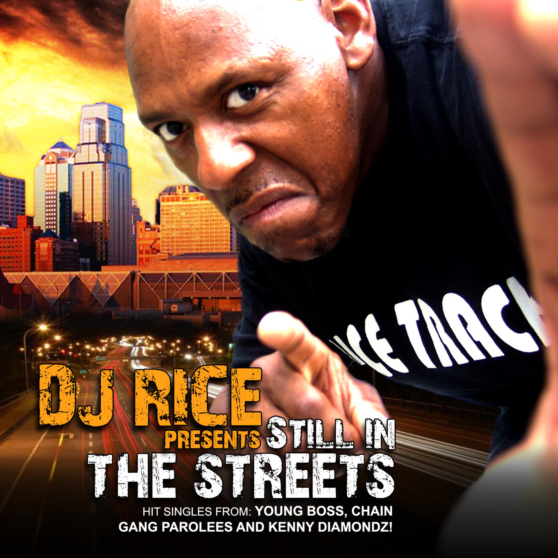 Постер альбома DJ Rice Presents... Still In The Streets (Singles)