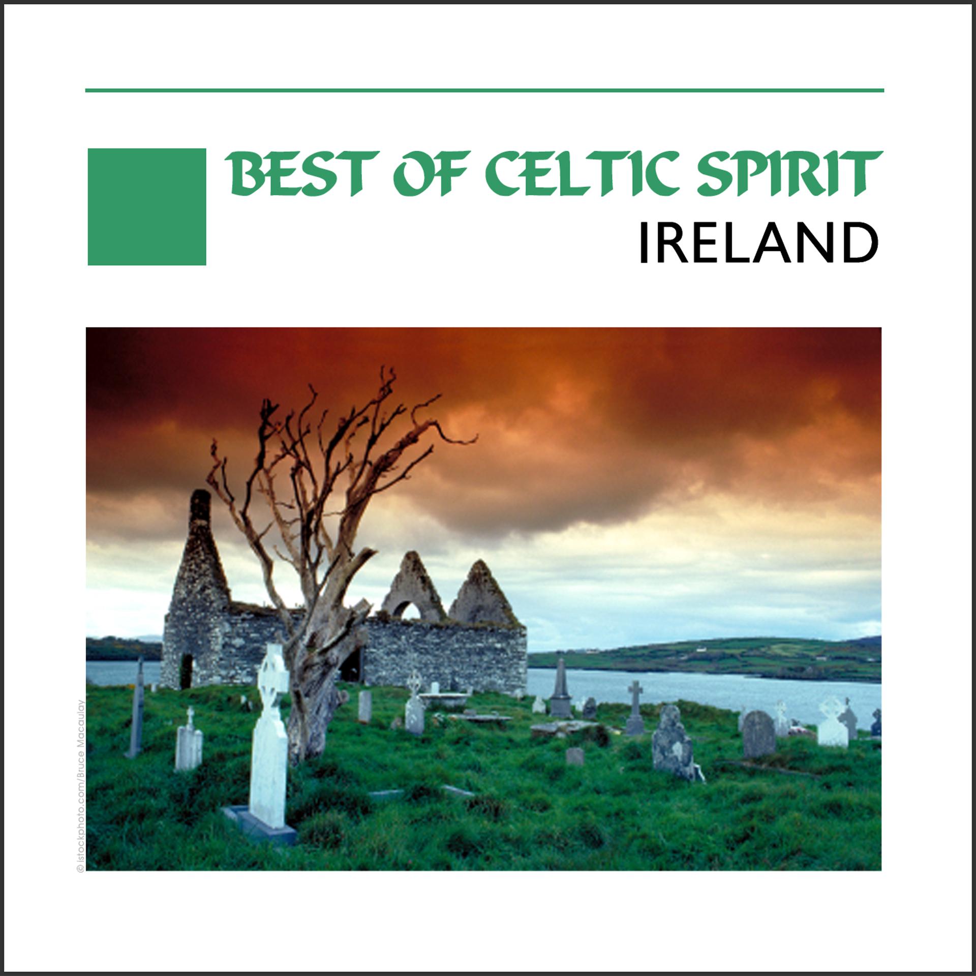 Постер альбома Best Of Celtic Spirit - Ireland