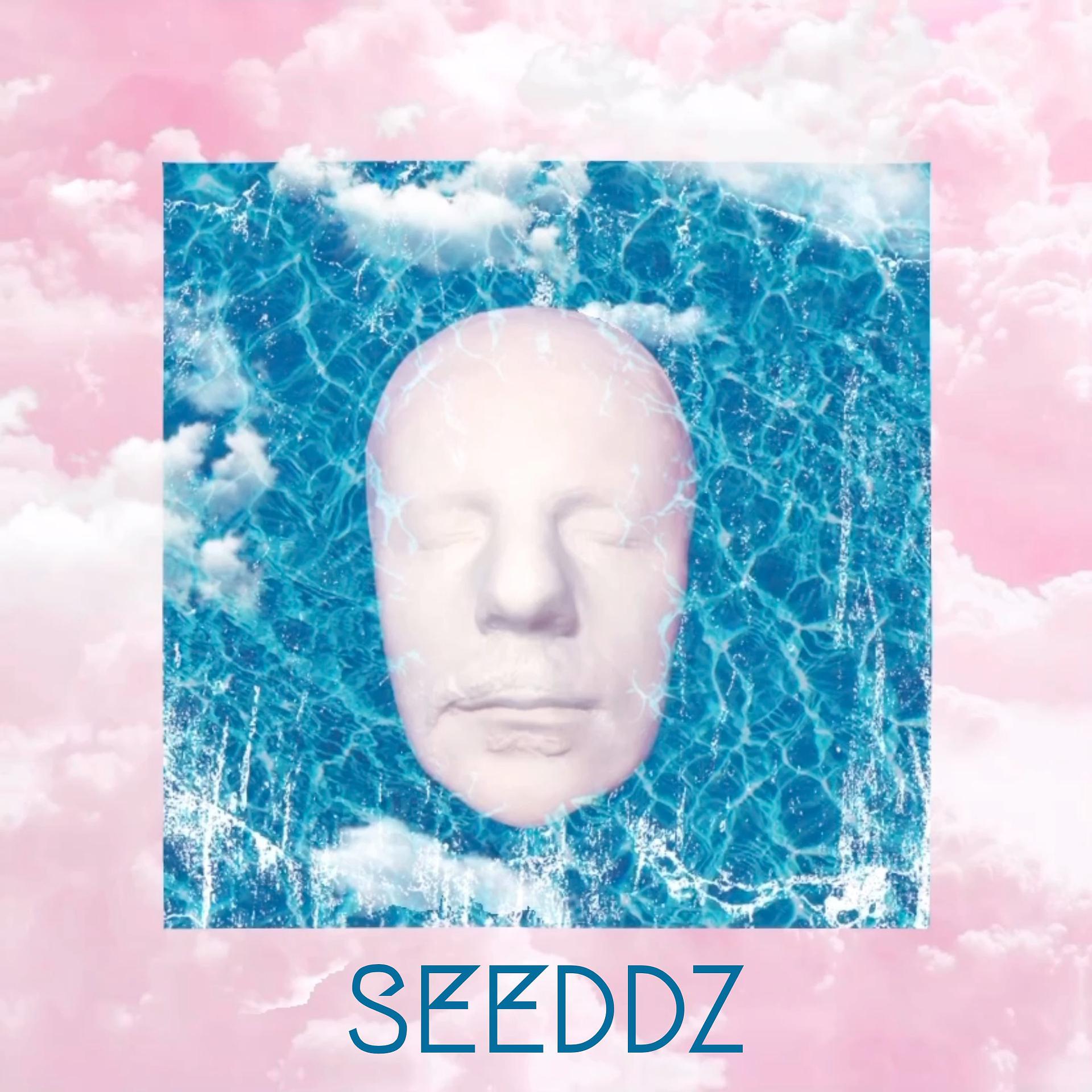 Постер альбома SEEDDZ