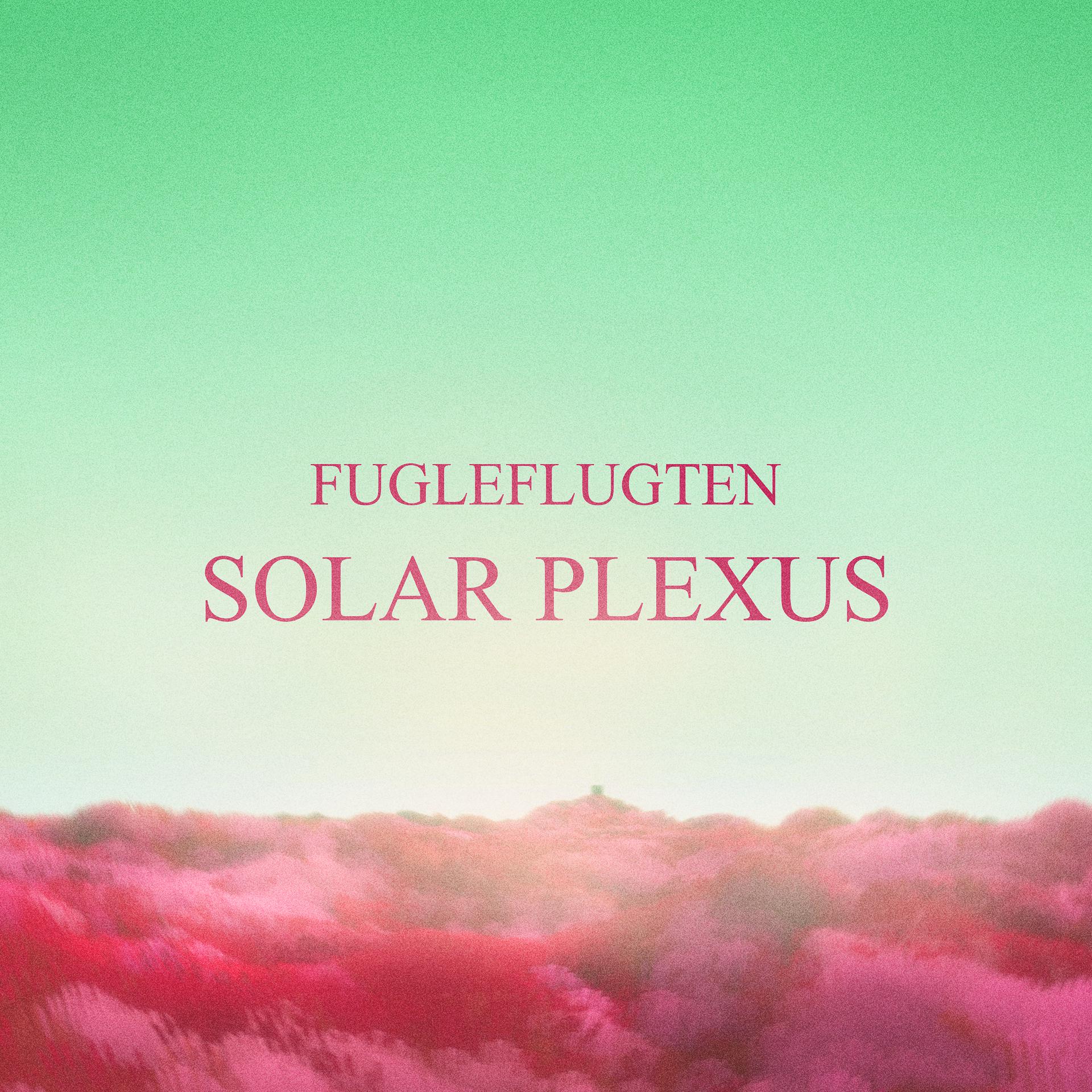 Постер альбома Solar Plexus